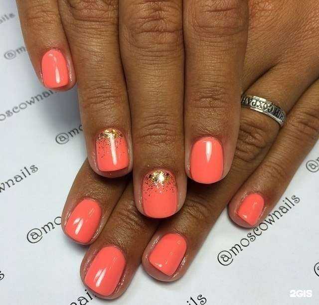 Отзывы на компанию Alisa в г. Омск c фото