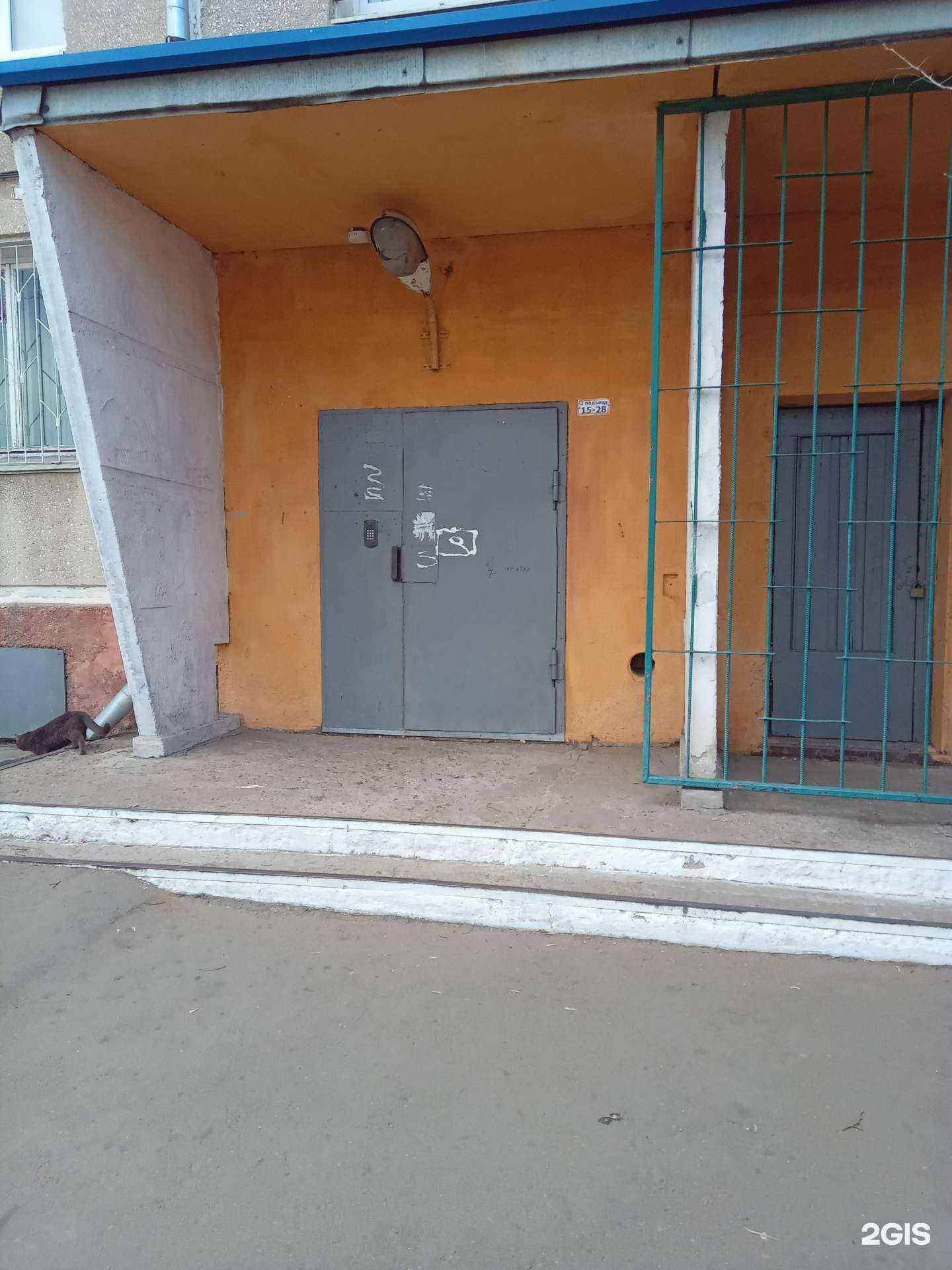 Отзывы на компанию Дружок в Улан-Удэ c фото - фотография 2 из 2