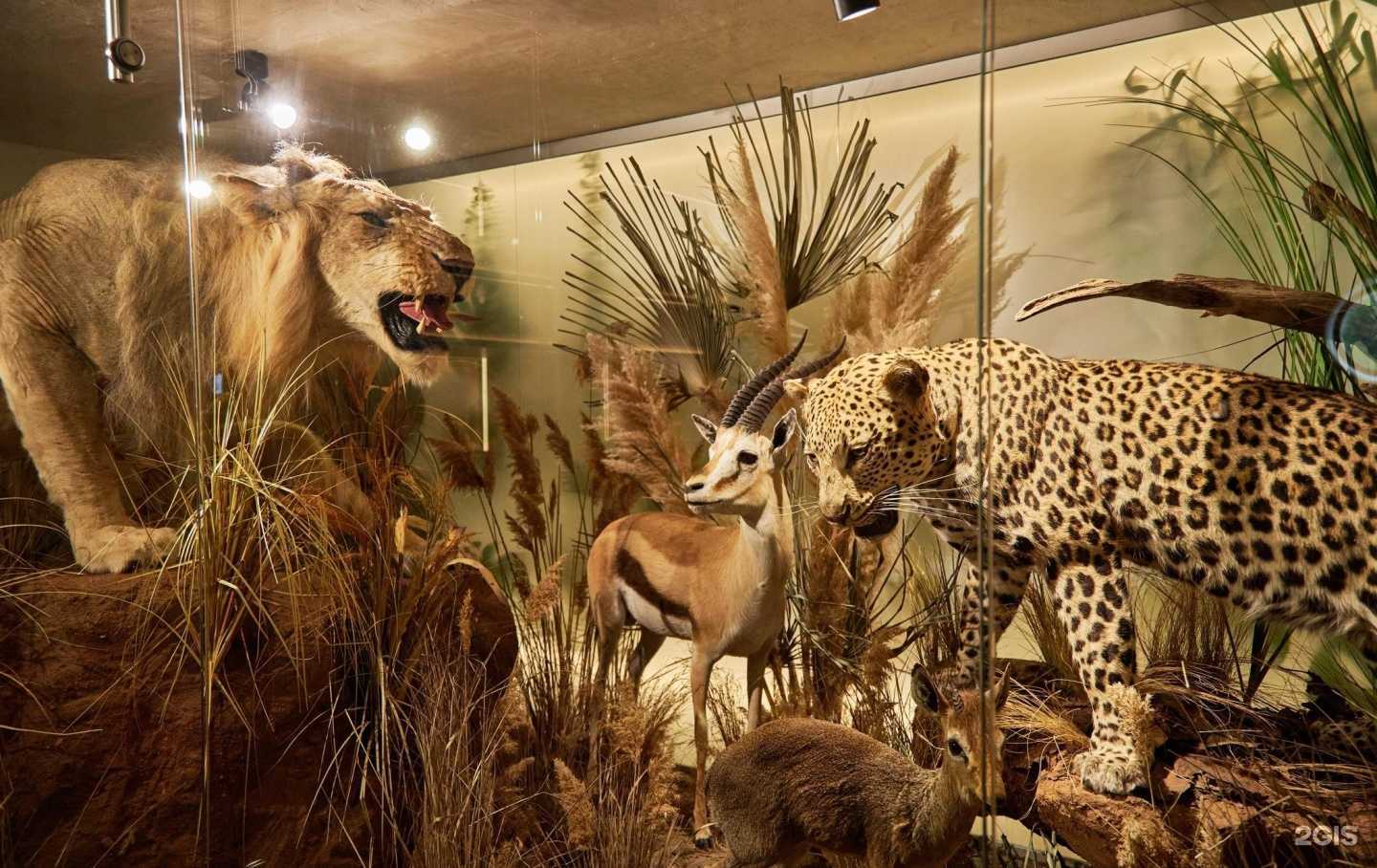 Отзывы на компанию Ливингстон в Самаре c фото