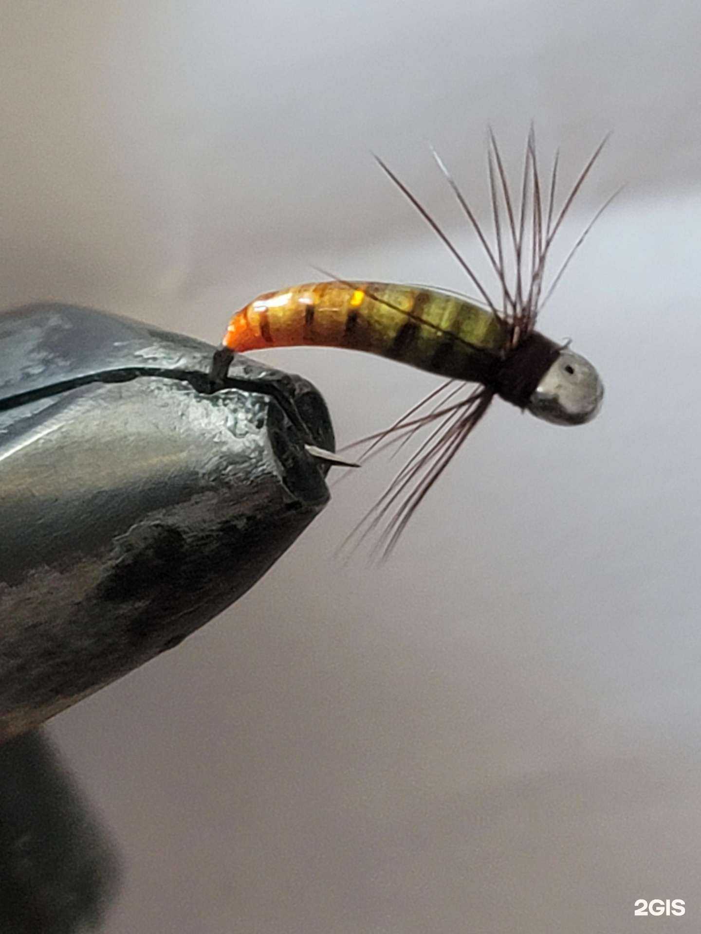 Отзывы на компанию SibNymph-Сибирская нимфа в Красноярске c фото