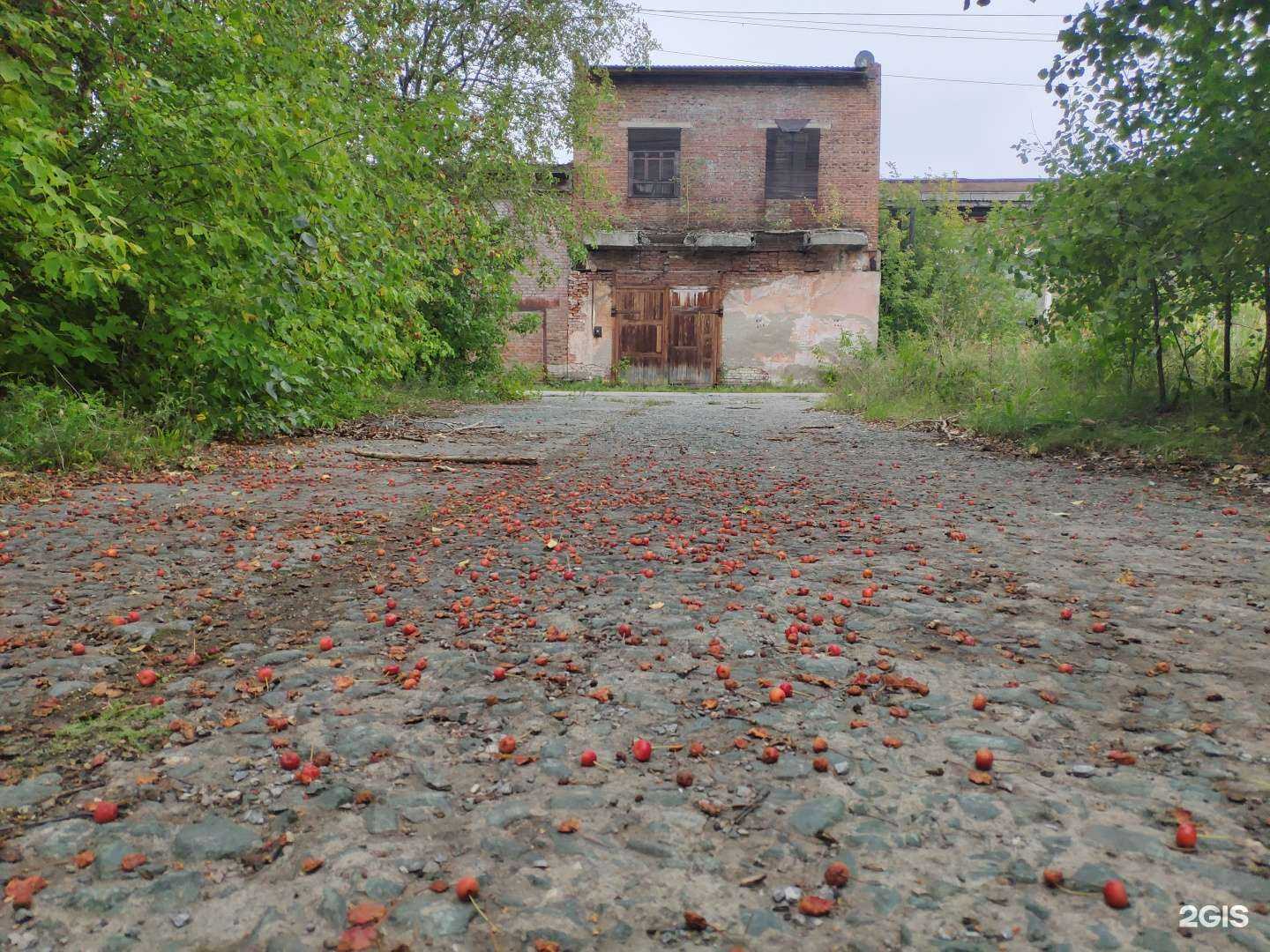 Отзывы на компанию Опытный.рф в г. Новосибирск c фото