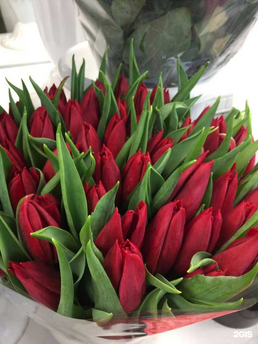 Отзывы на компанию Дамское счастье&Флоренция в Челябинске c фото