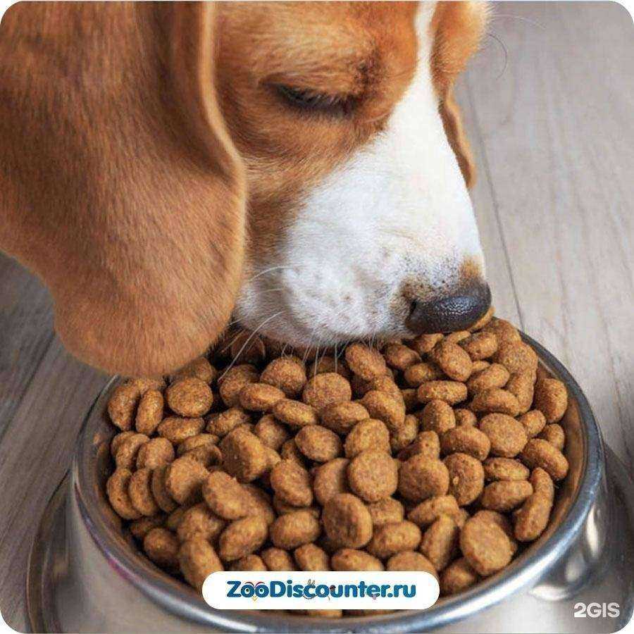 Отзывы на компанию ZooDiscounter.ru в Самаре c фото