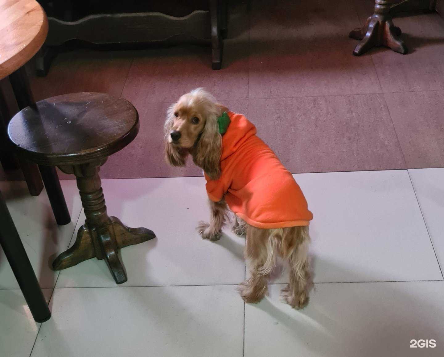 Отзывы на компанию Duff в Улан-Удэ c фото