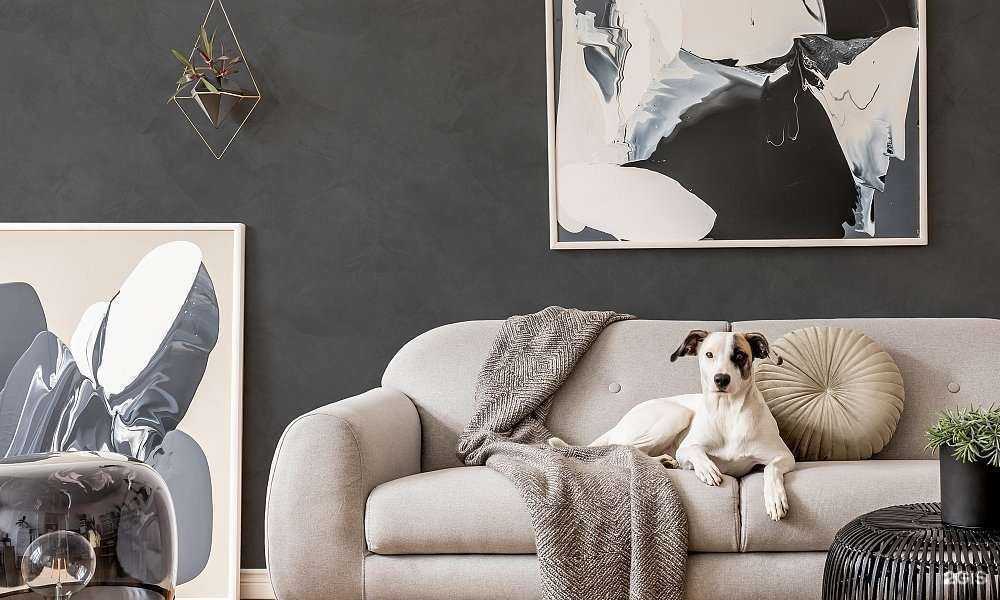 Отзывы на компанию Maitre deco в г. Тверь c фото