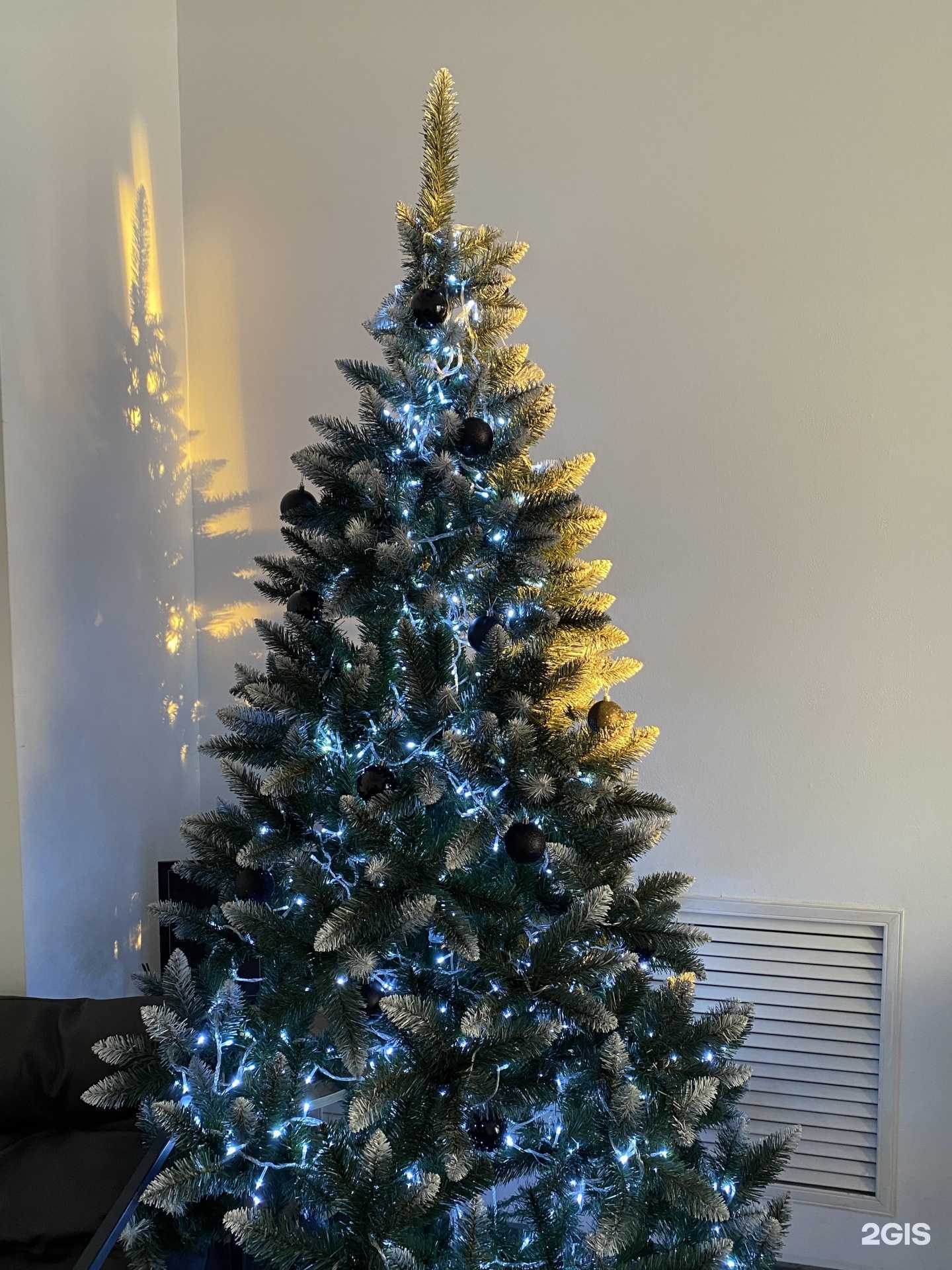 Отзывы на компанию Pogo в Новосибирске c фото