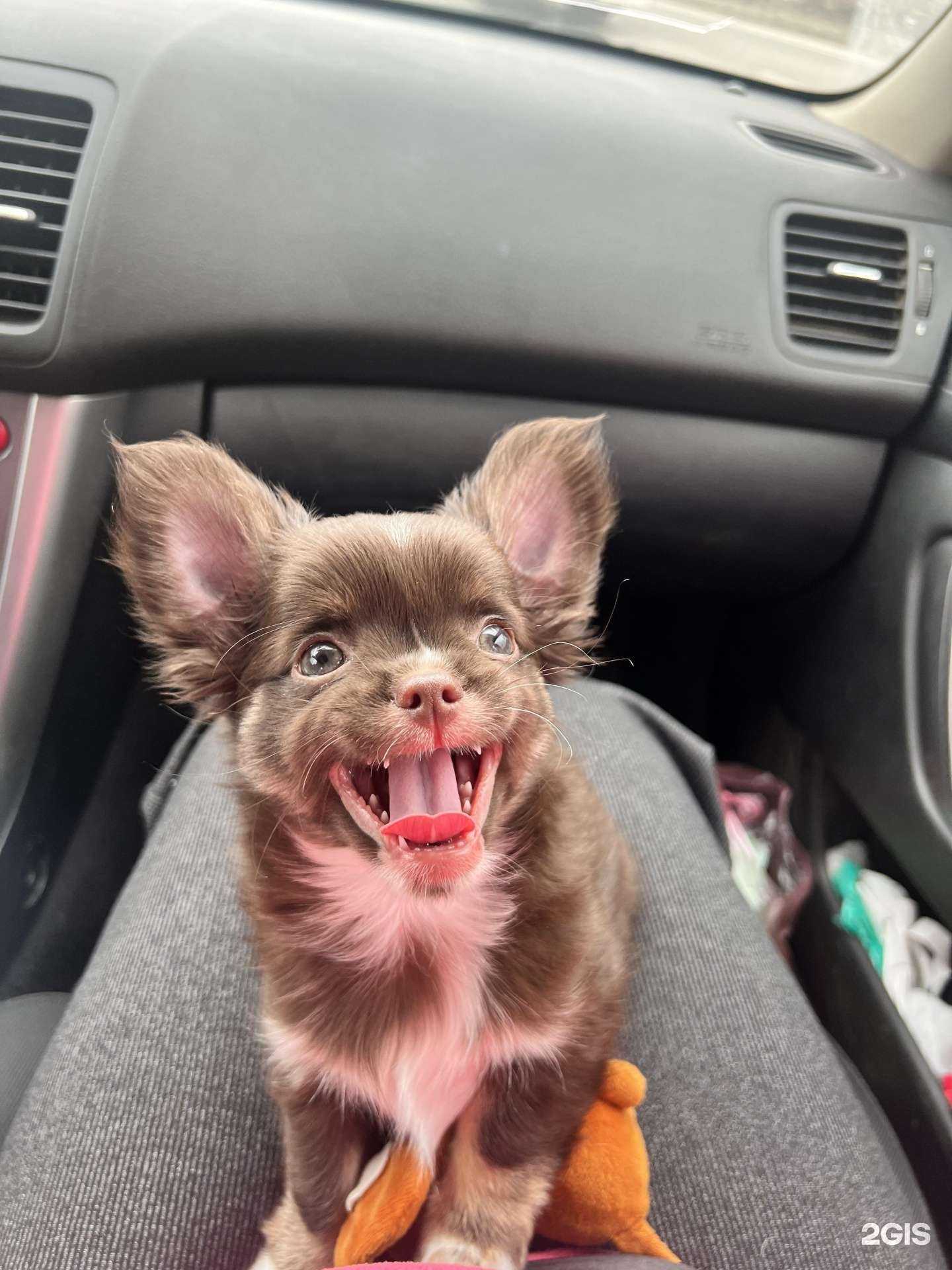 Отзывы на компанию Добрые руки в Уфе c фото