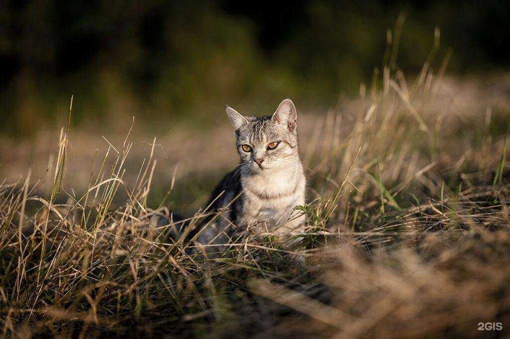 Отзывы на компанию Наш край, редакция газеты в Миллерове c фото