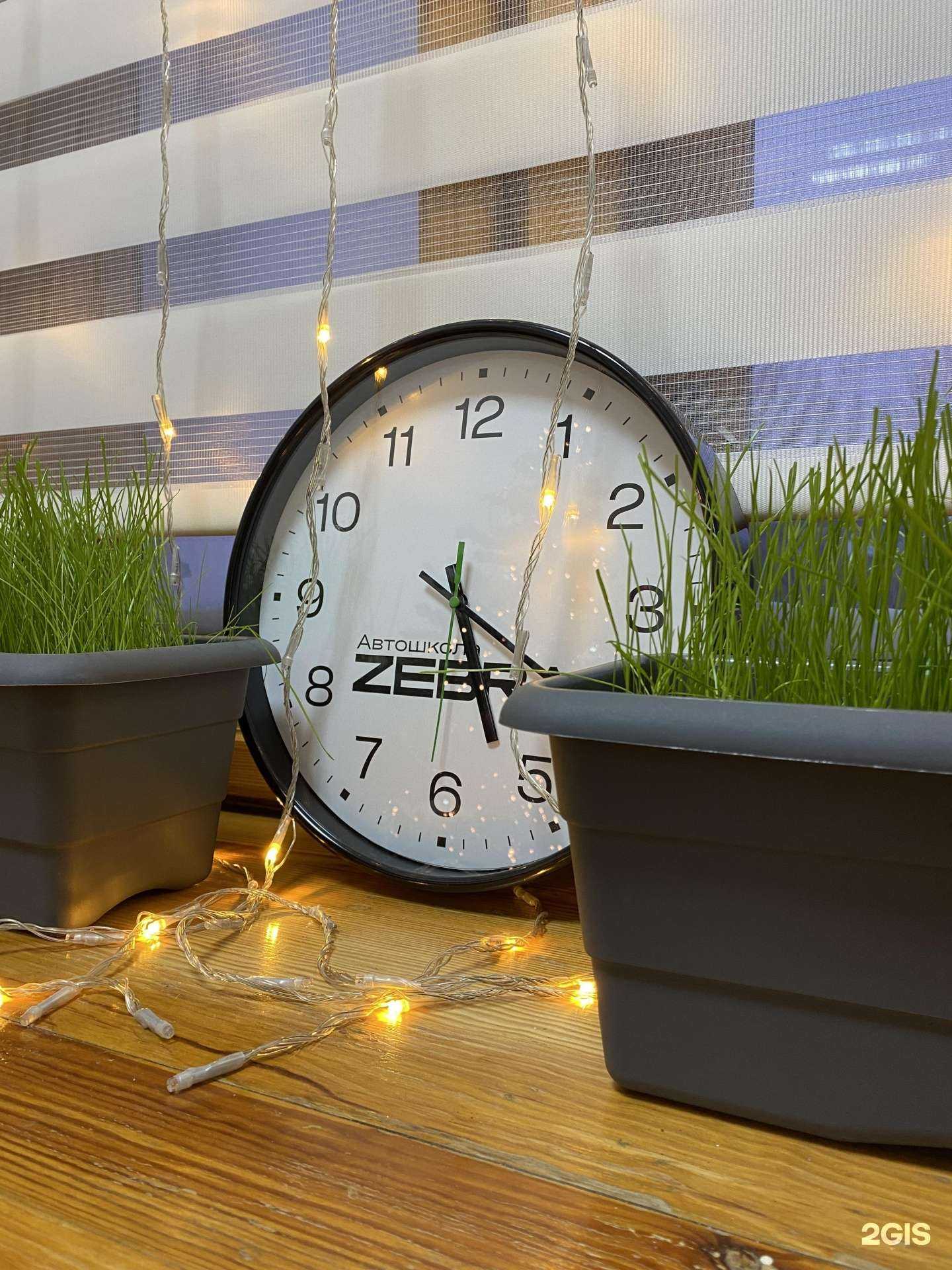 Отзывы на компанию Zebra в г. Барнаул c фото