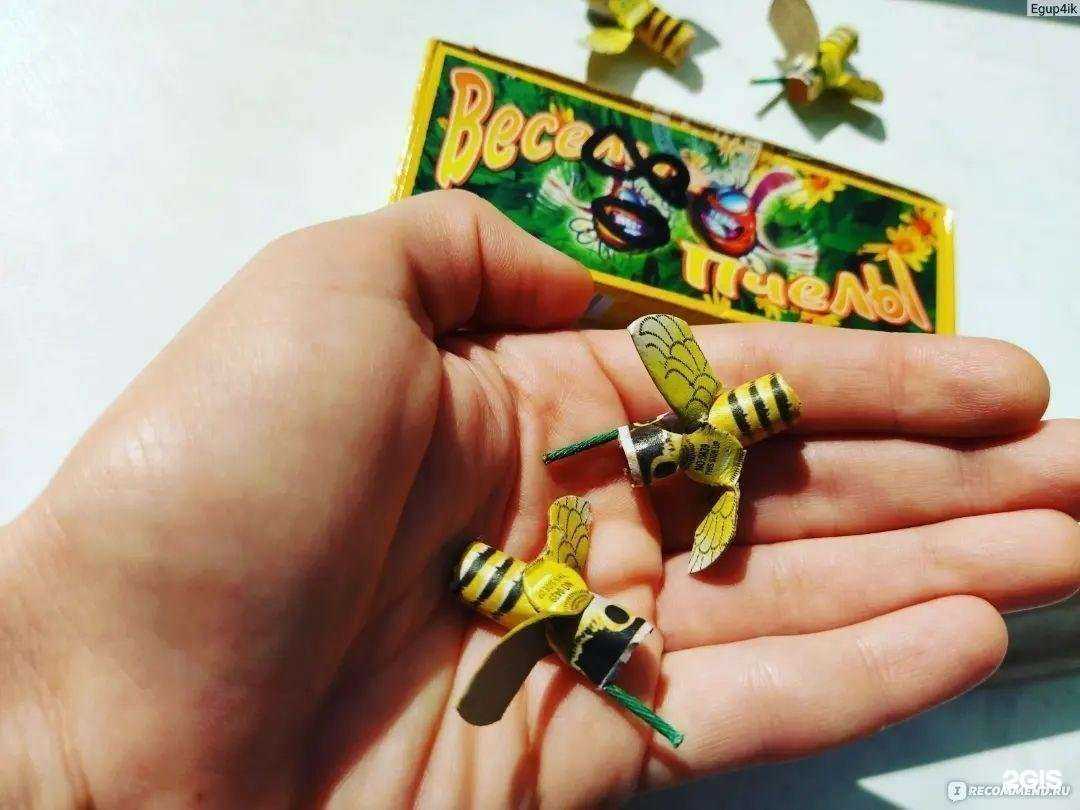 Отзывы на компанию Большой Праздник в г. Анжеро-Судженск c фото