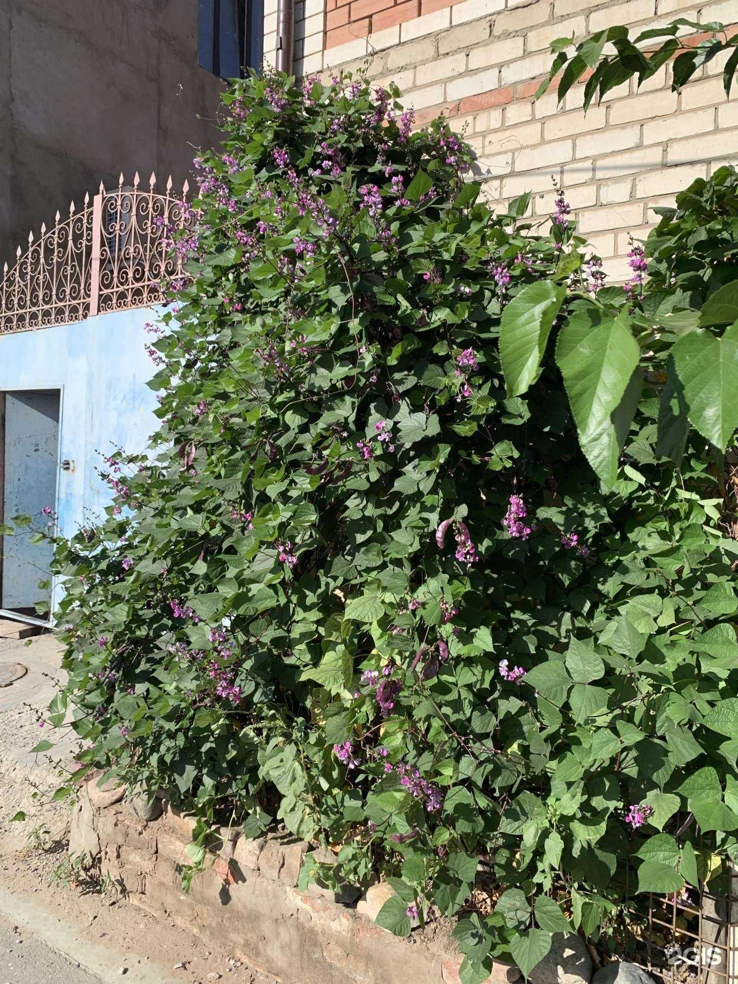 Отзывы на компанию Гардиан в Астрахани c фото