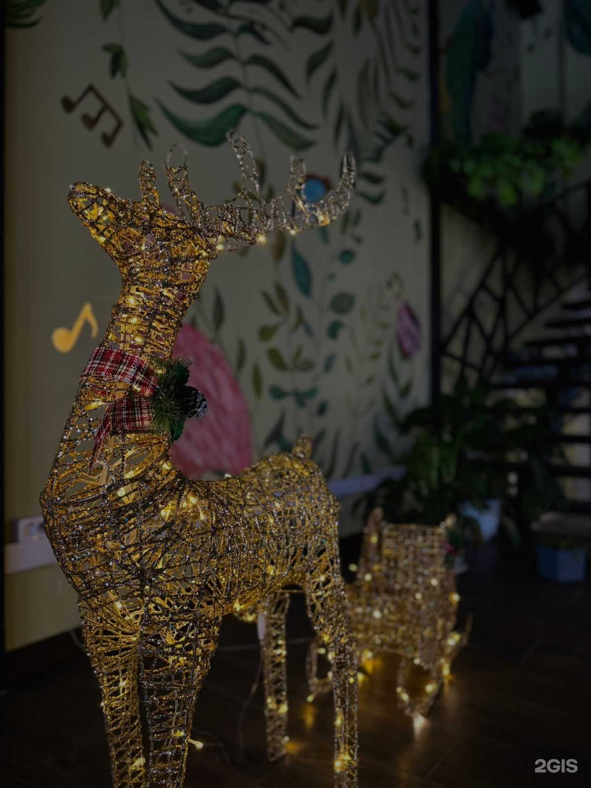 Отзывы на компанию Запеканка в г. Иркутск c фото