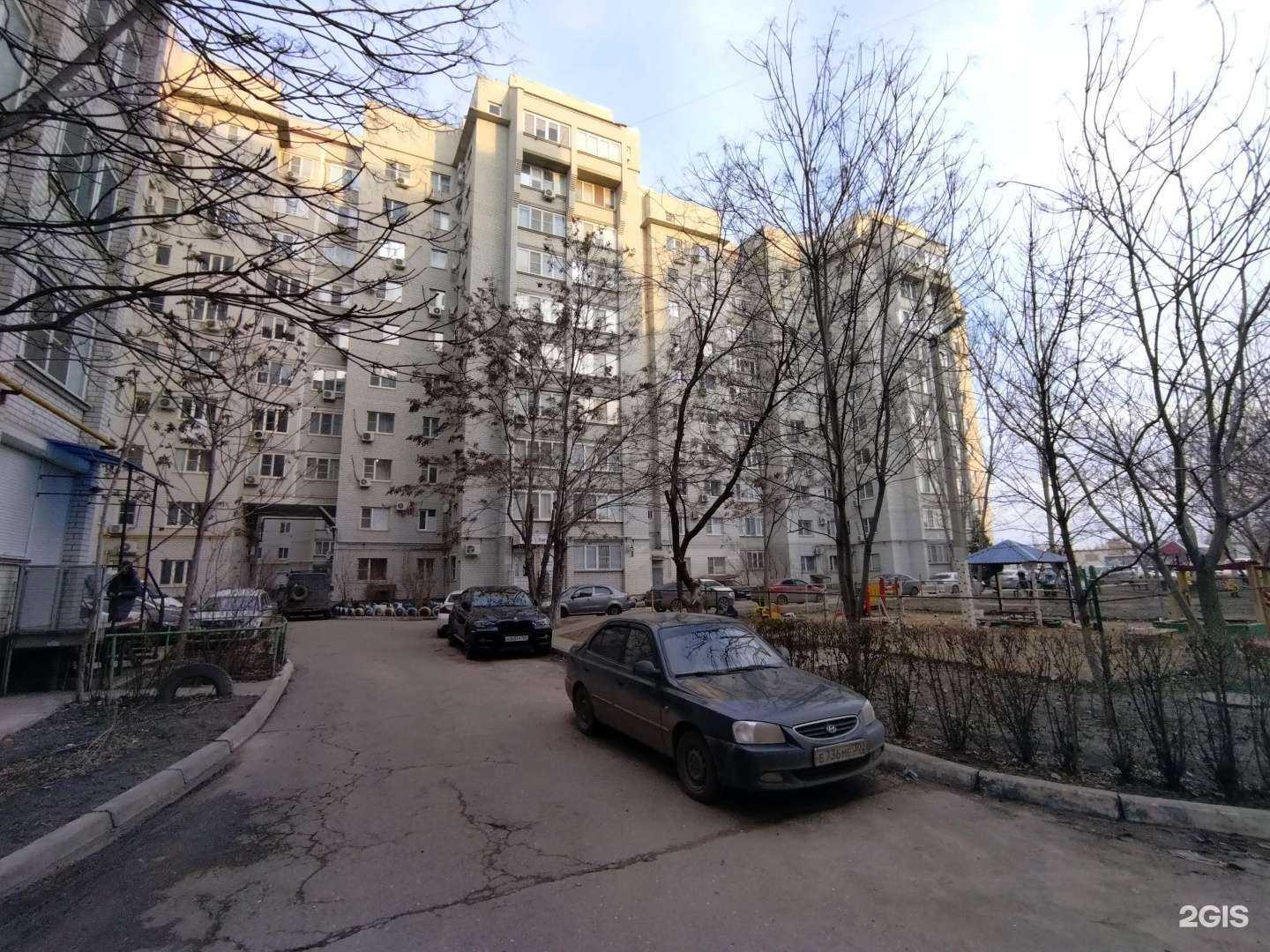 Отзывы на компанию Айболит в Астрахани c фото - фотография 2 из 2