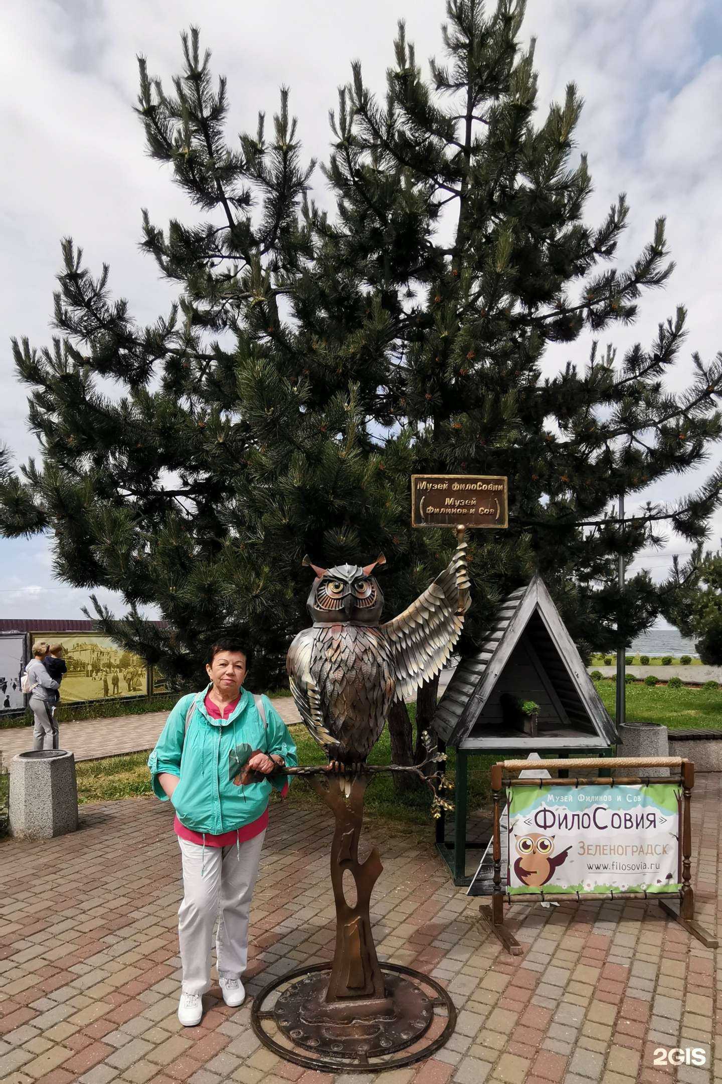 Отзывы на компанию Шкипер в г. Калининград c фото