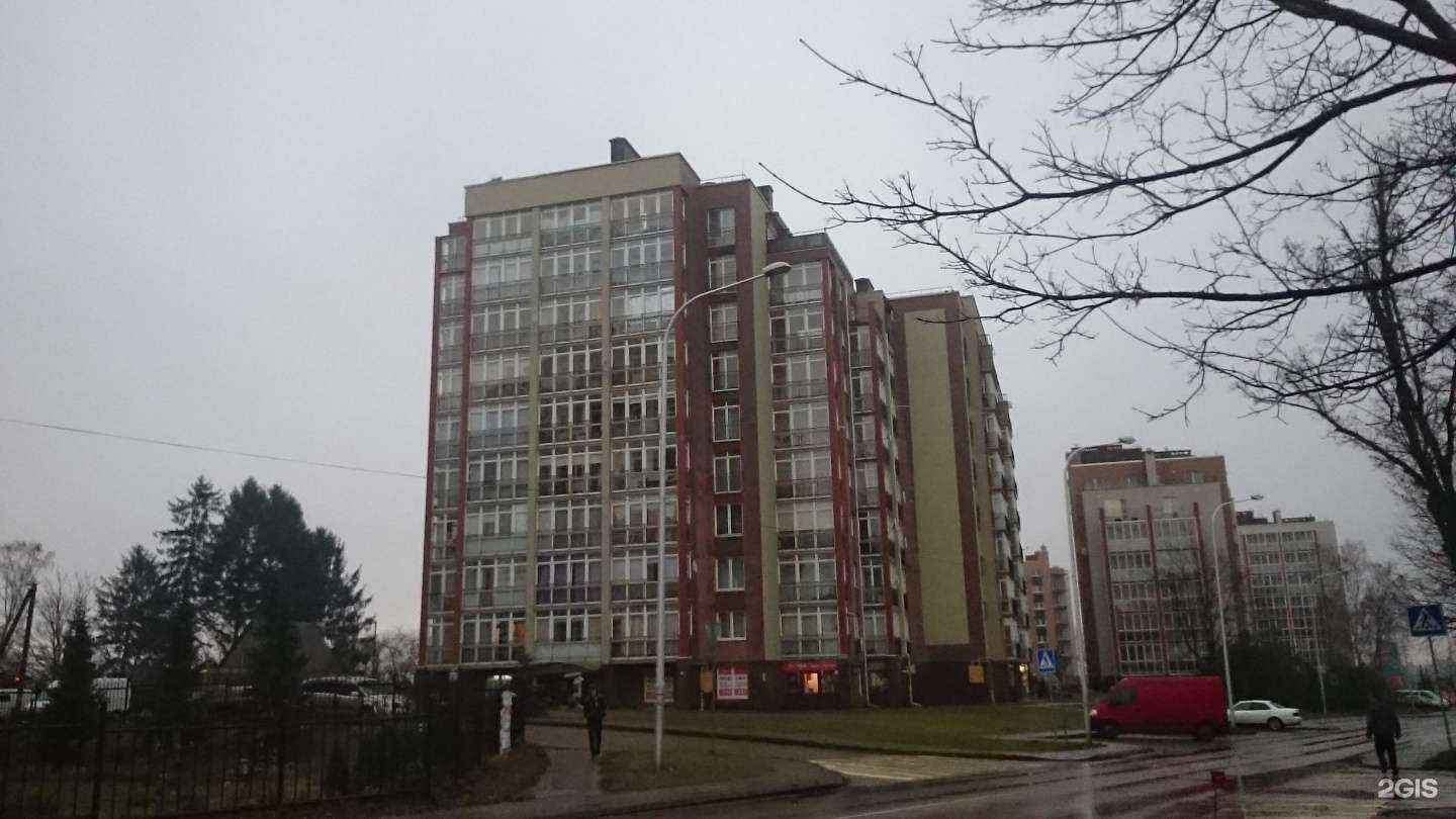 Отзывы на компанию Разноцветы в Светлогорске c фото - фотография 2 из 2