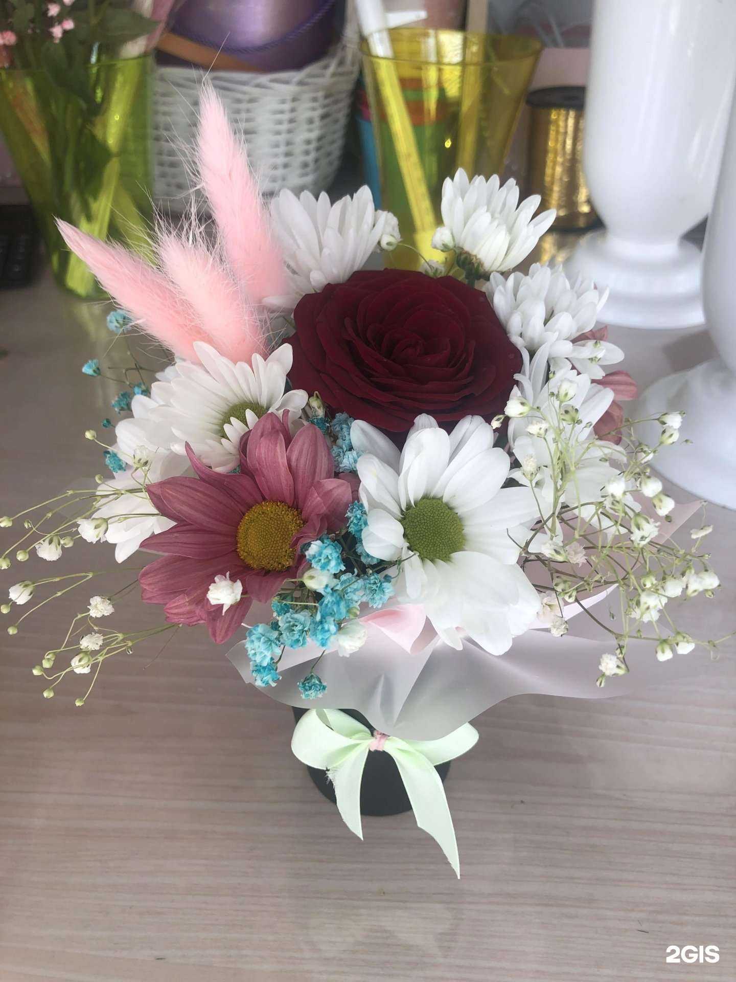 Отзывы на компанию Екатерина Великая в Новосибирске c фото