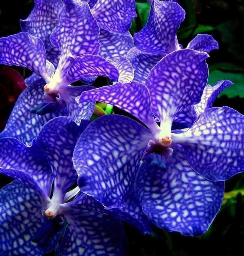 Отзывы на компанию Цветторг-48 в Липецке c фото