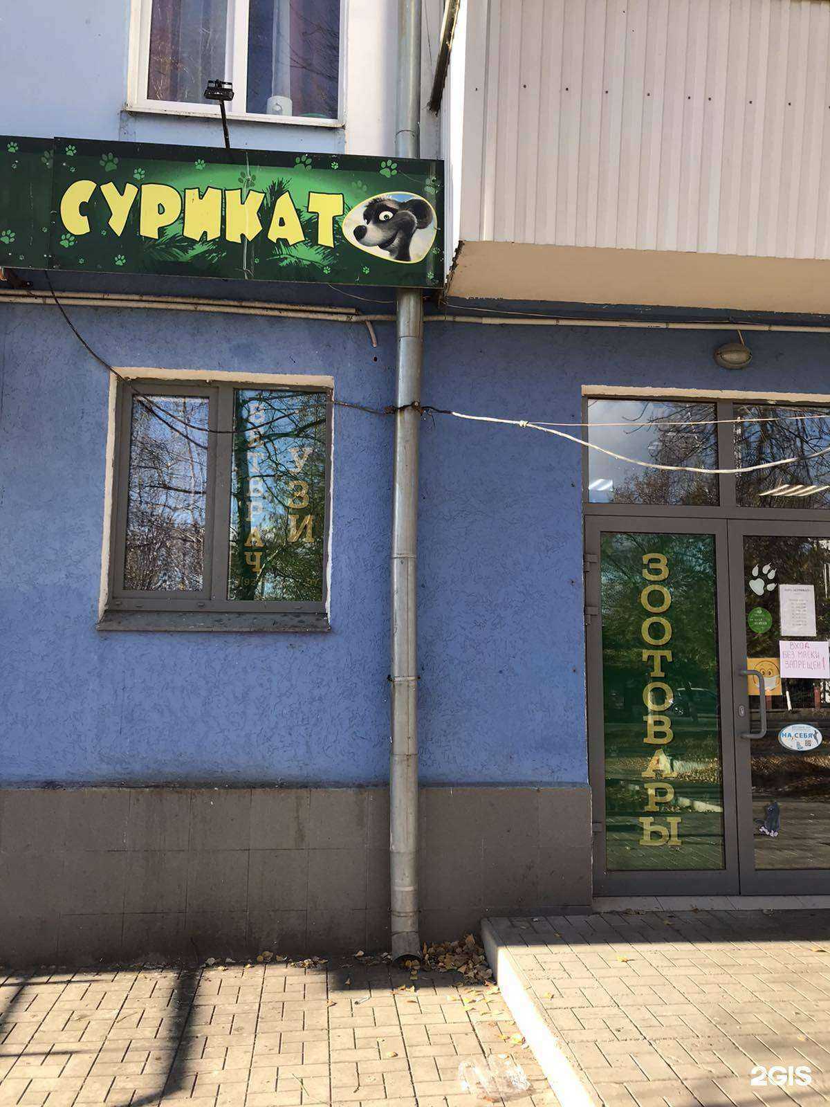 Отзывы на компанию Сурикат в Новокуйбышевске c фото