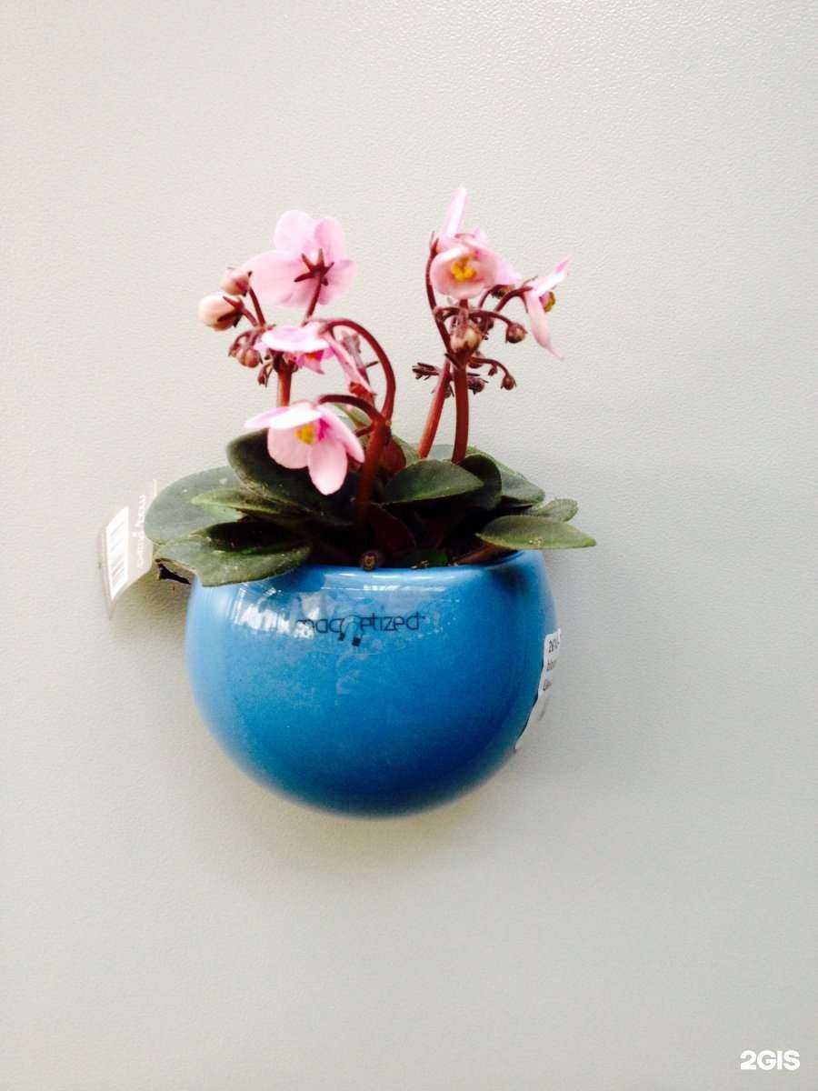 Отзывы на компанию Садовый центр в г. Краснодар c фото