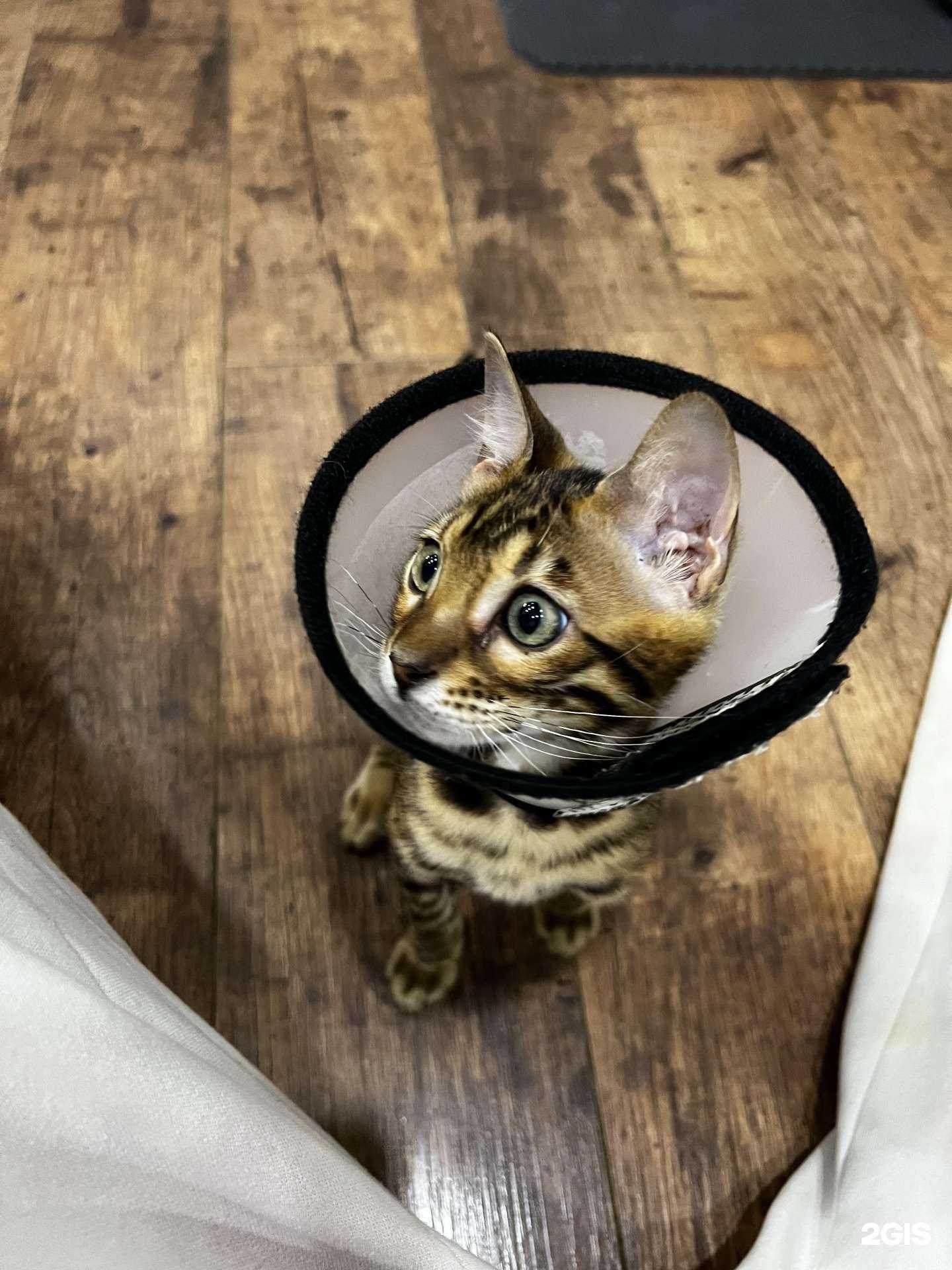 Отзывы на компанию Слон в Краснодаре c фото