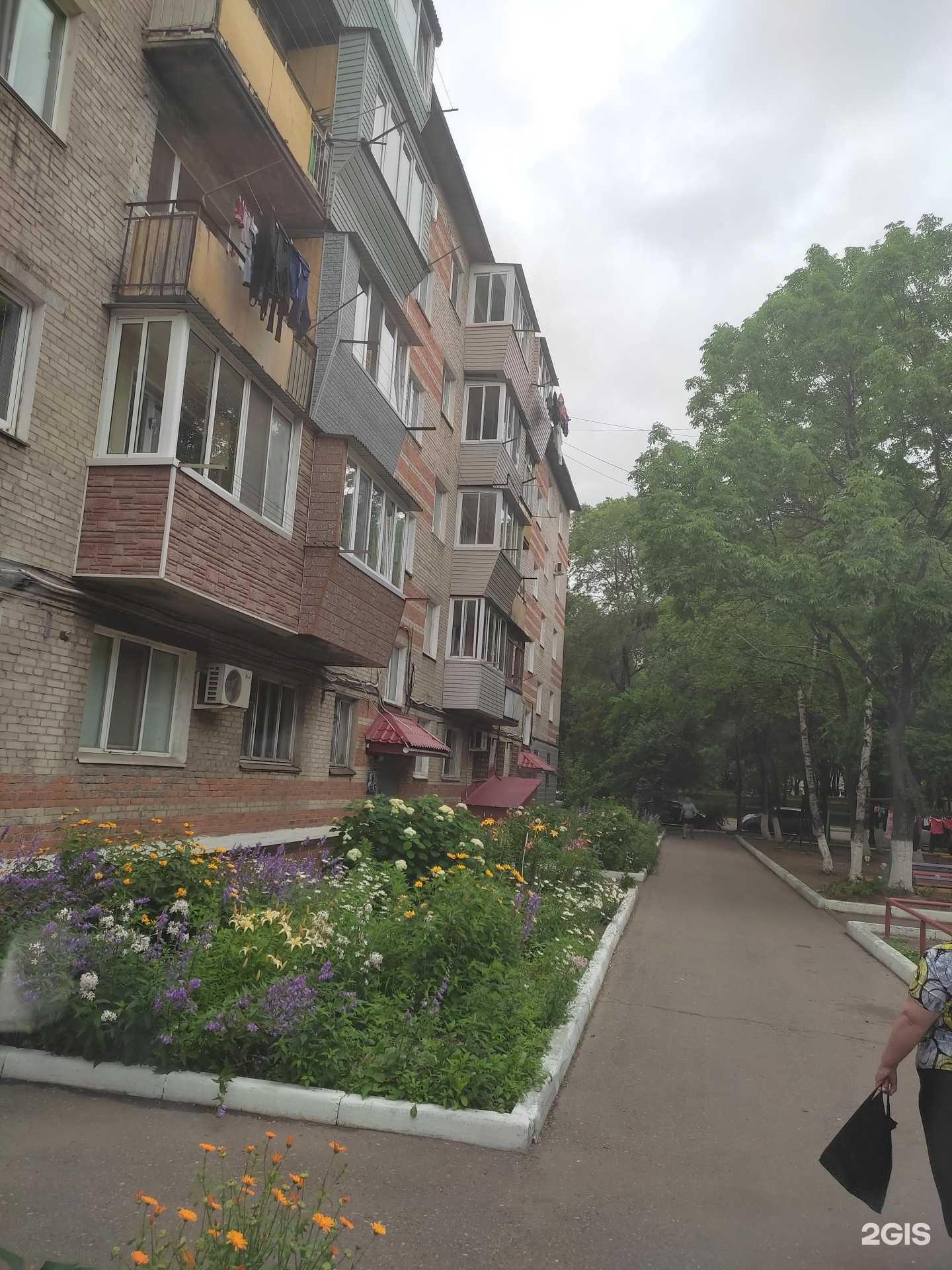 Отзывы на компанию Амакидс в Уссурийске c фото - фотография 2 из 2