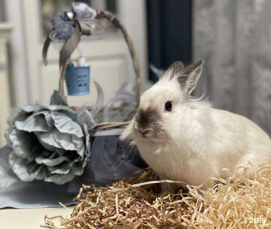 Отзывы на компанию Eva Decor в г. Армавир c фото