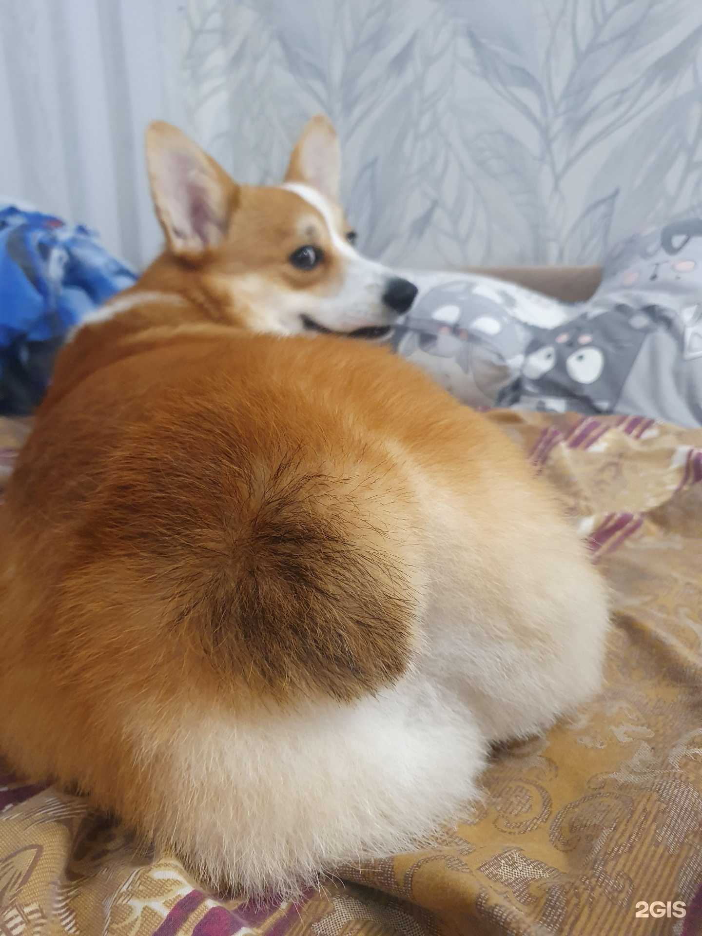 Отзывы на компанию Гламур в Курске c фото