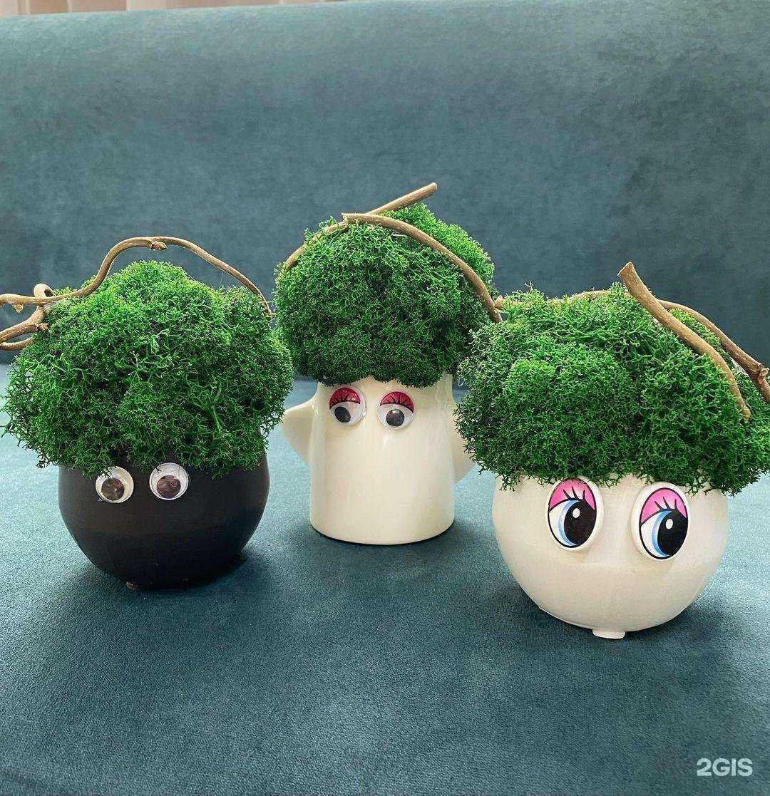 Отзывы на компанию Ботаника в г. Новокузнецк c фото