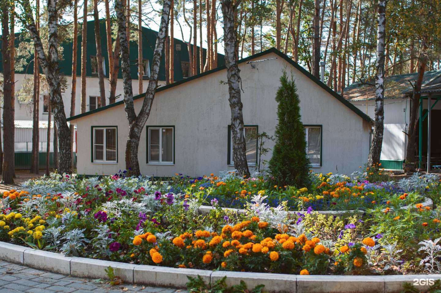 Отзывы на компанию Олимпиец в Курске c фото