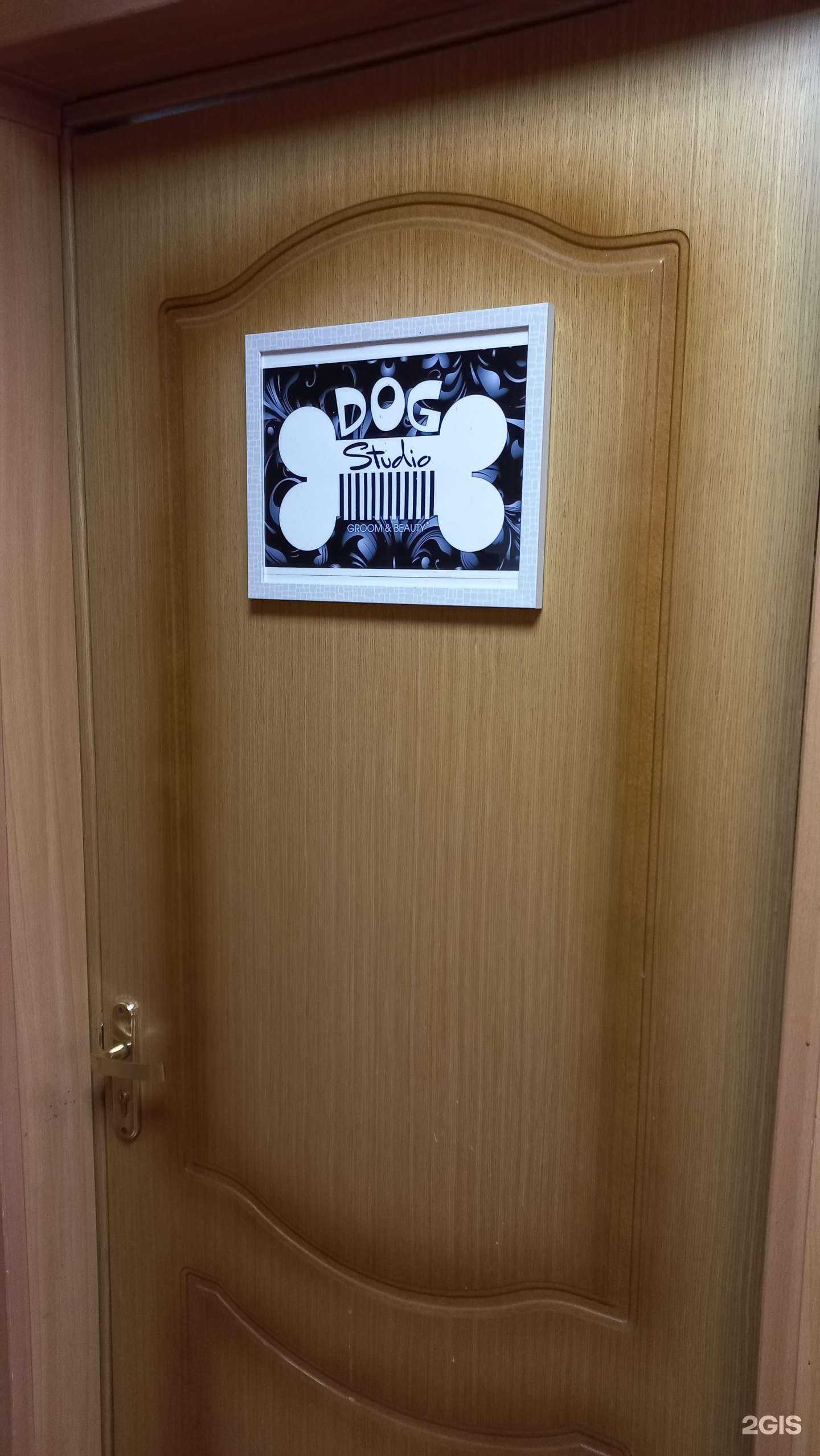 Отзывы на компанию Dog studio в г. Иркутск c фото