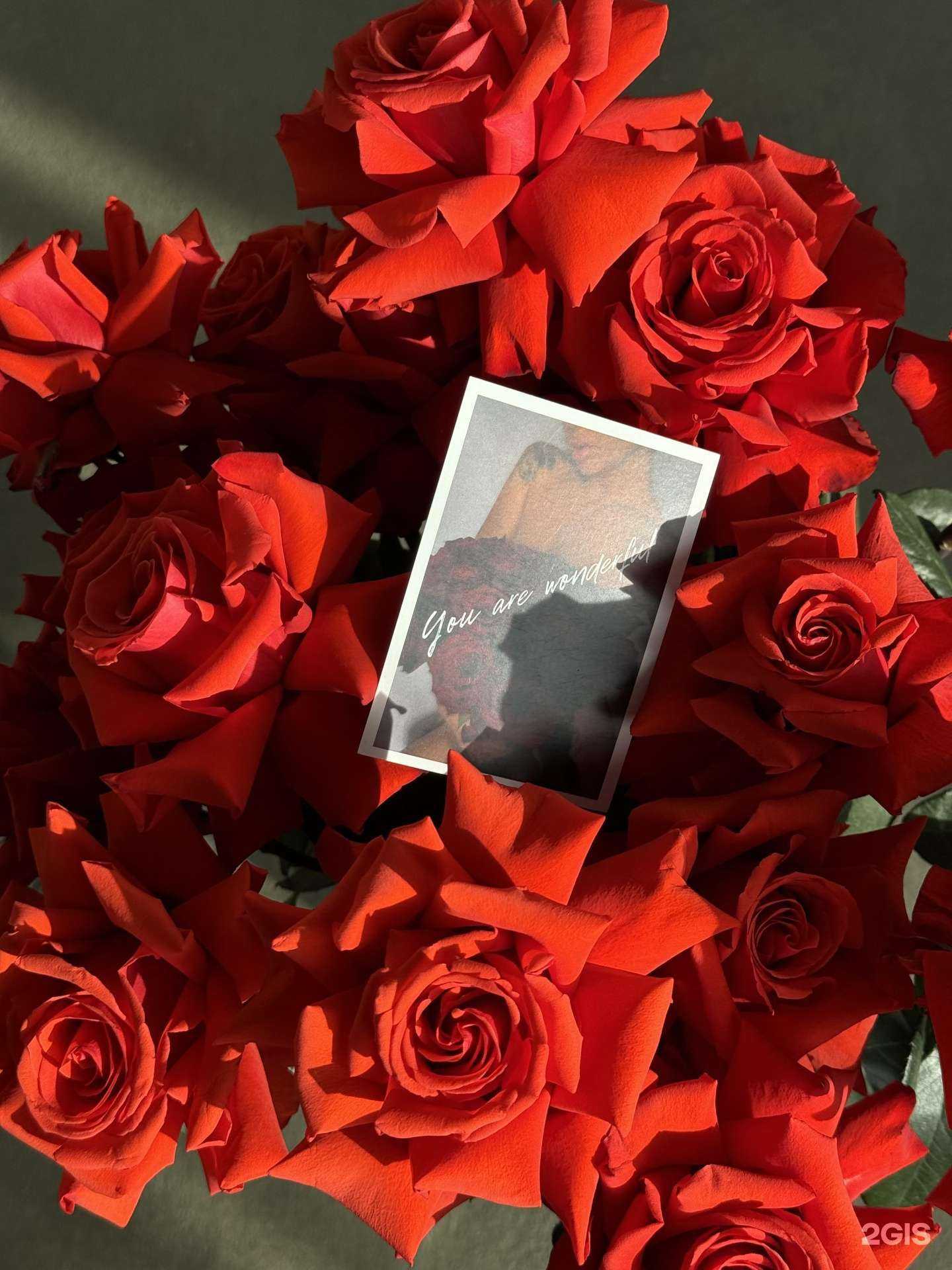 Отзывы на компанию Floristika в Бердске c фото