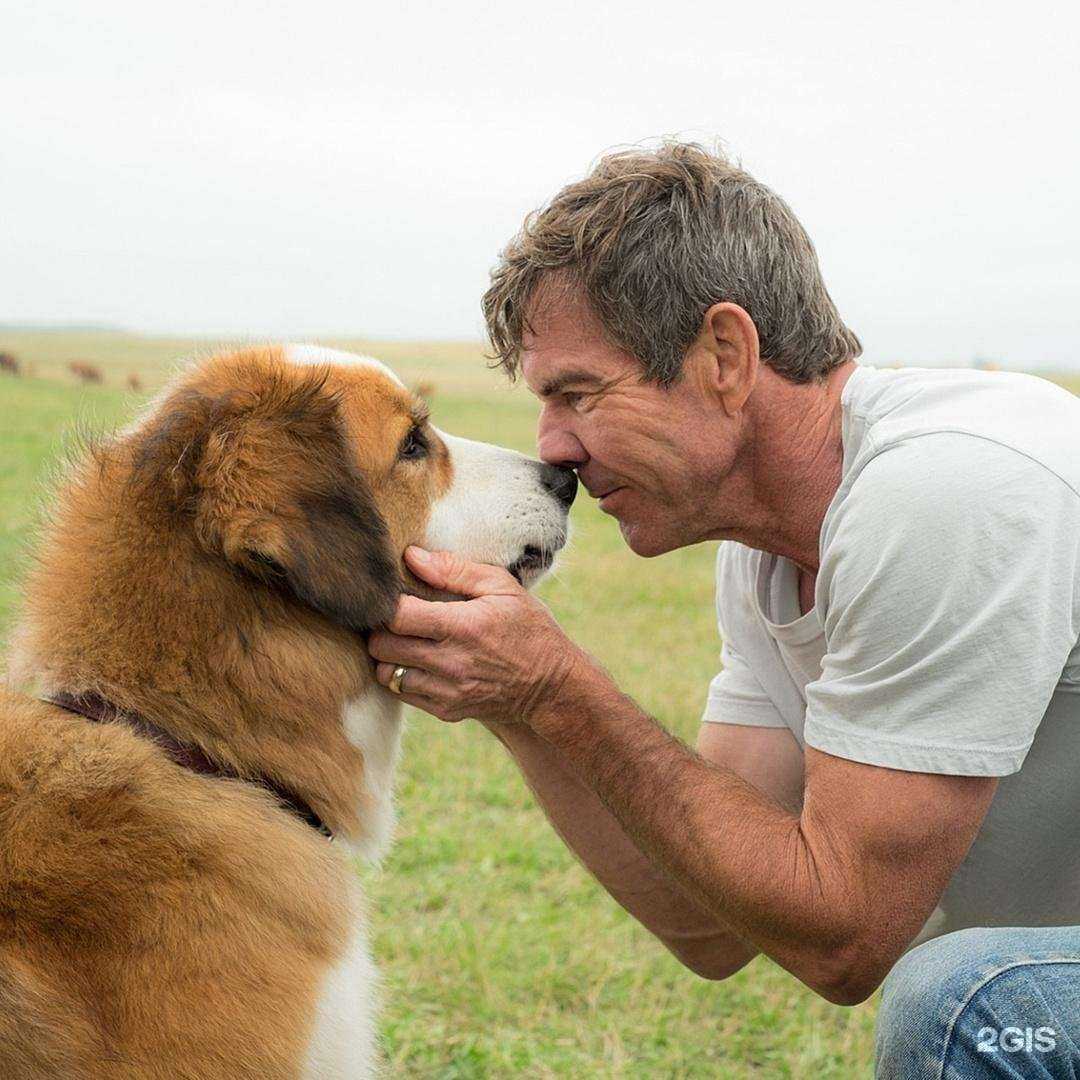 Отзывы на компанию Астин в Балашихе c фото