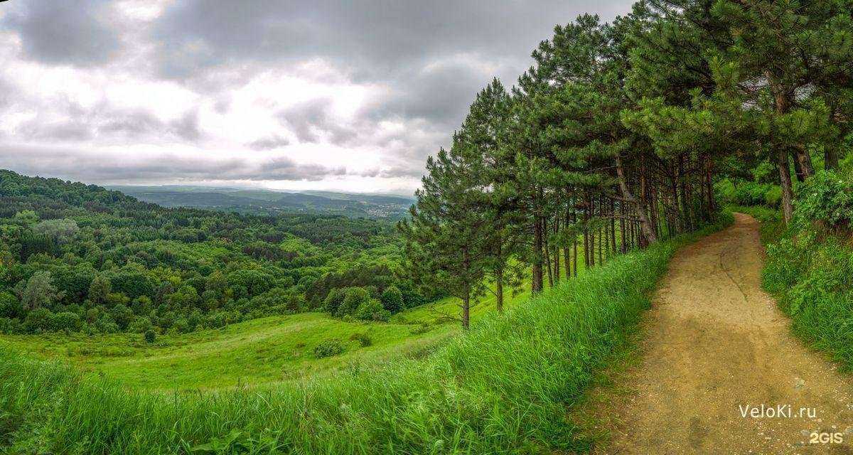 Отзывы на компанию Велоки в г. Кисловодск c фото