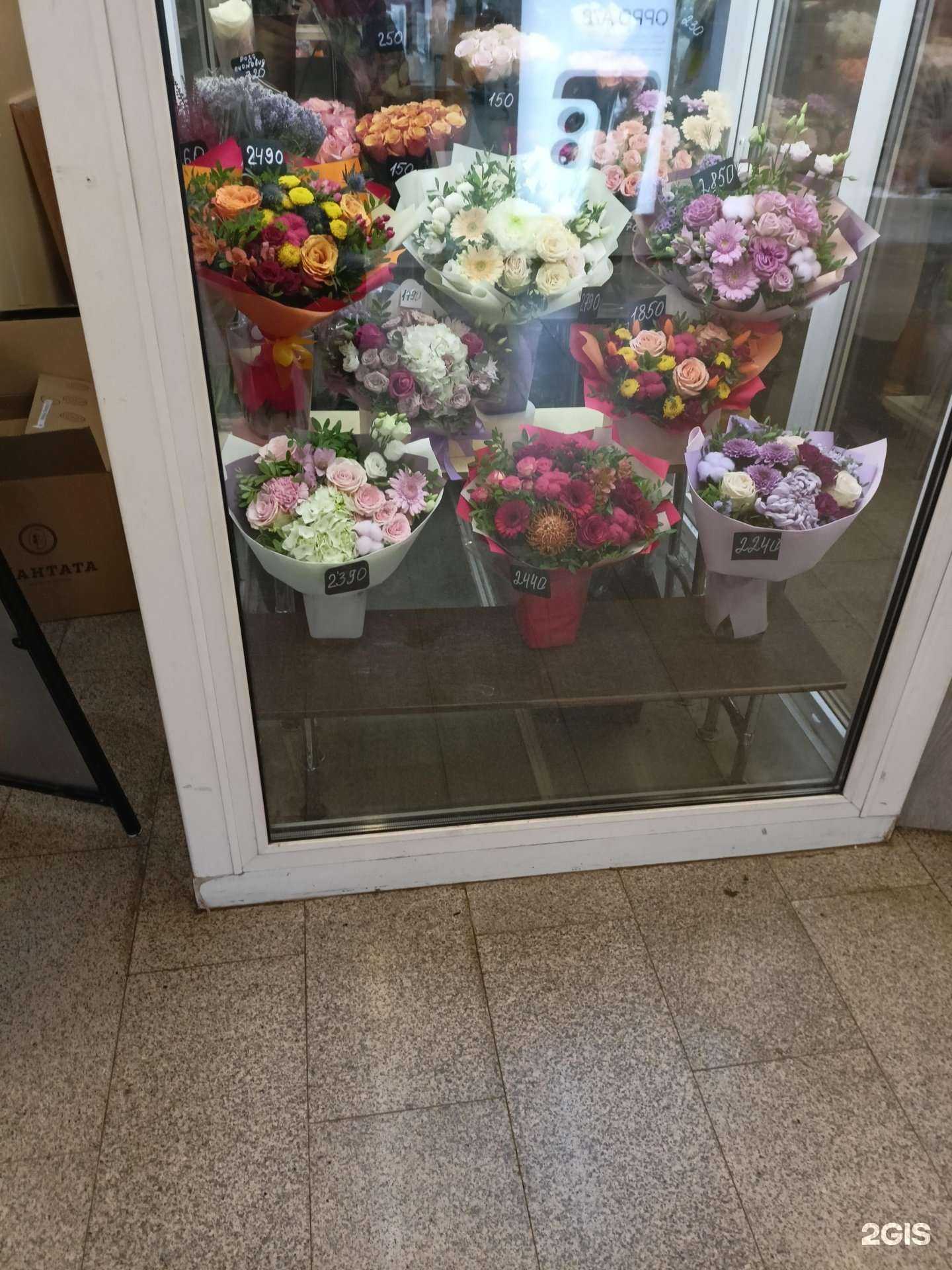 Отзывы на компанию Цветофор в г. Люберцы c фото