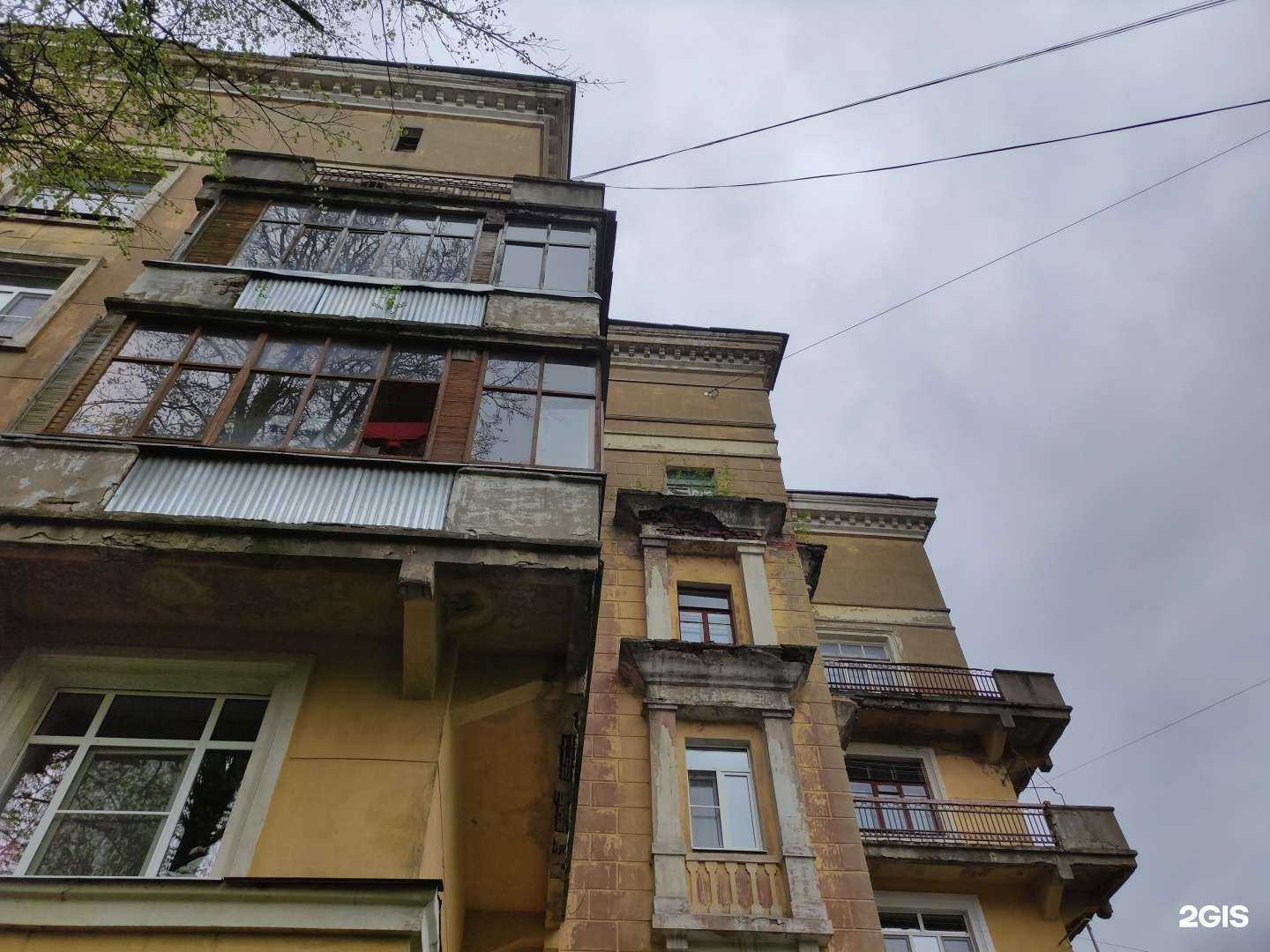 Отзывы на компанию PetSfera в Красногорске c фото - фотография 2 из 2