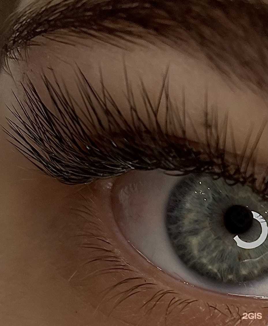Отзывы на компанию LASHES by Orlova Ksenya в Великом Новгороде c фото - фотография 2 из 2