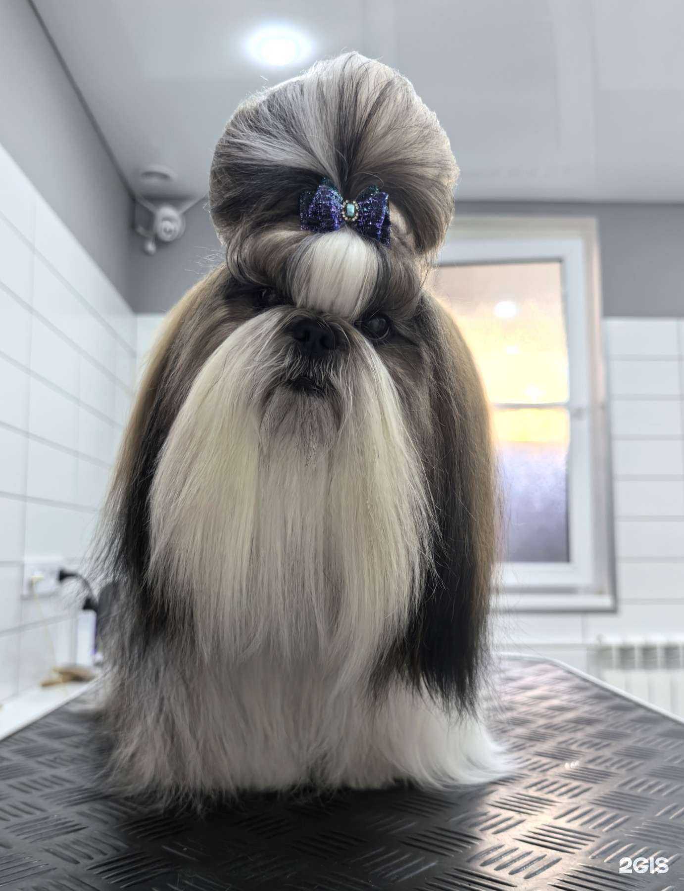 Отзывы на компанию Подстрижемся в Нижневартовске c фото