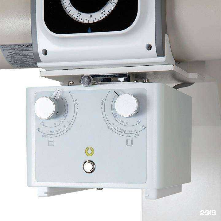 Отзывы на компанию Зоодом в Сургуте c фото