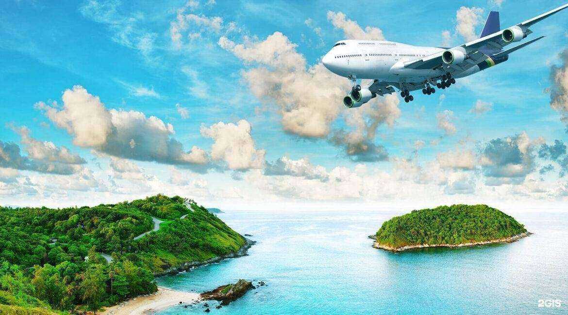 Отзывы на компанию Белая фрезия в Майкопе c фото