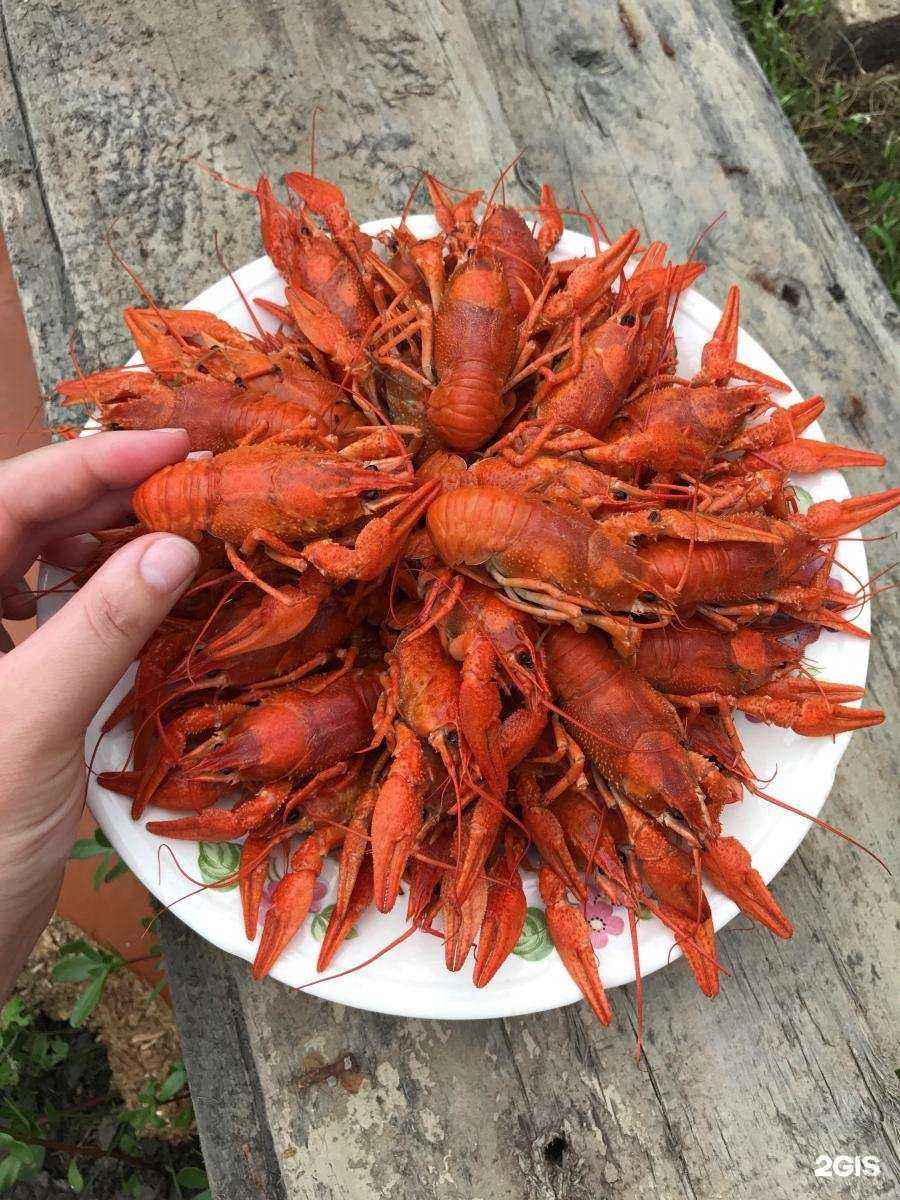 Отзывы на компанию Ракоед в Армавире c фото