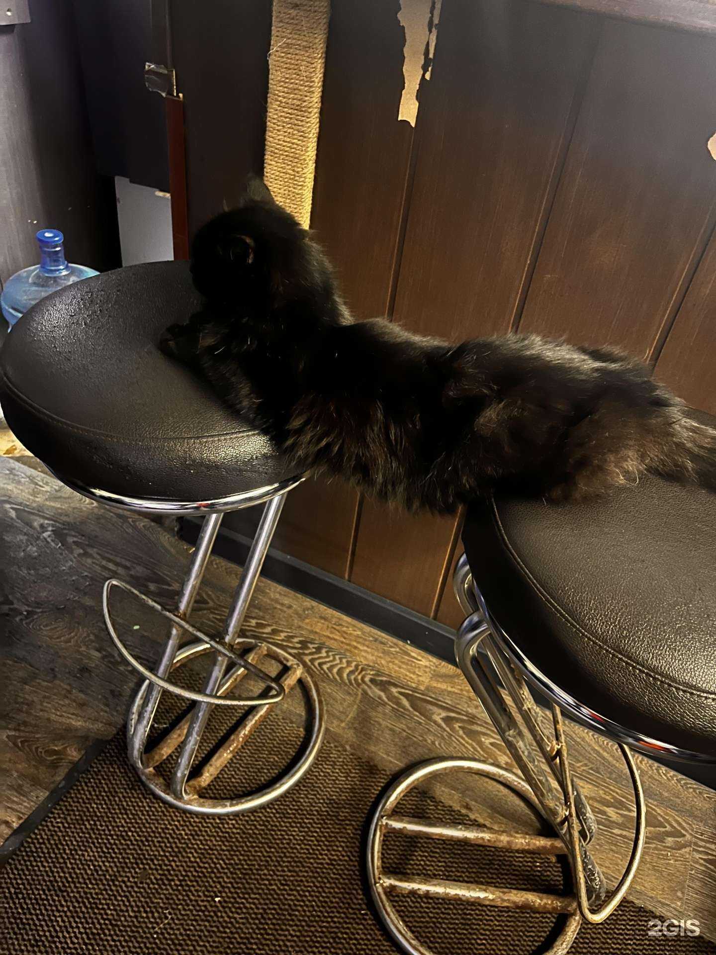 Отзывы на компанию Светофор в Уфе c фото