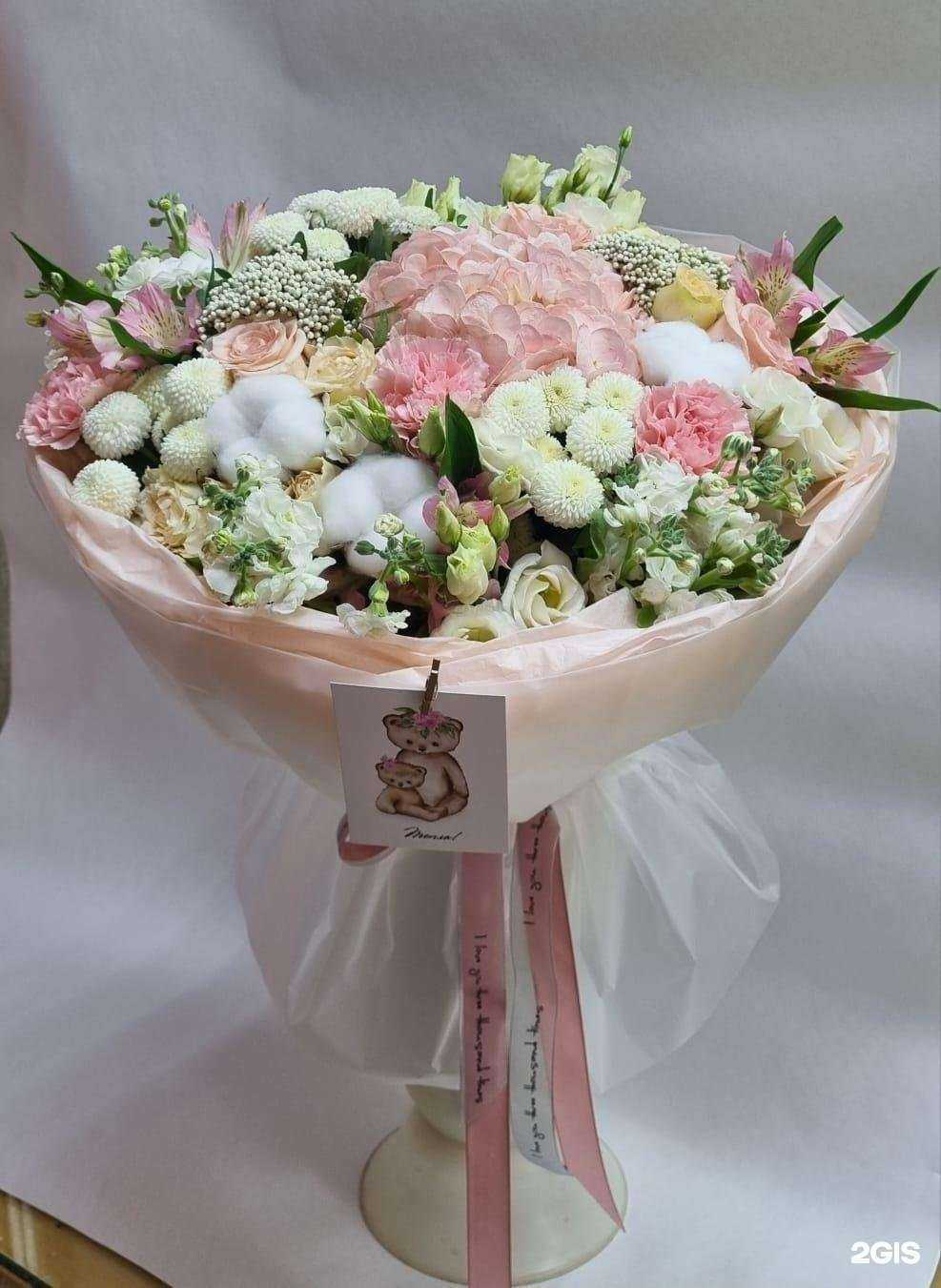 Отзывы на компанию Колибри в Новосибирске c фото