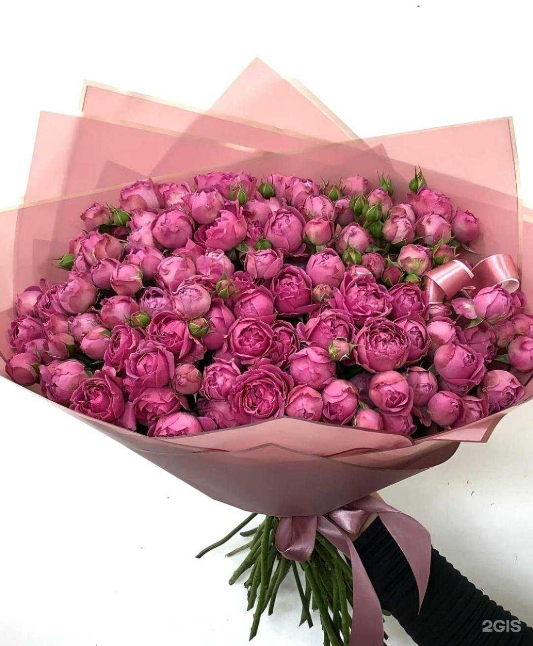 Отзывы на компанию Париж в Сочи c фото