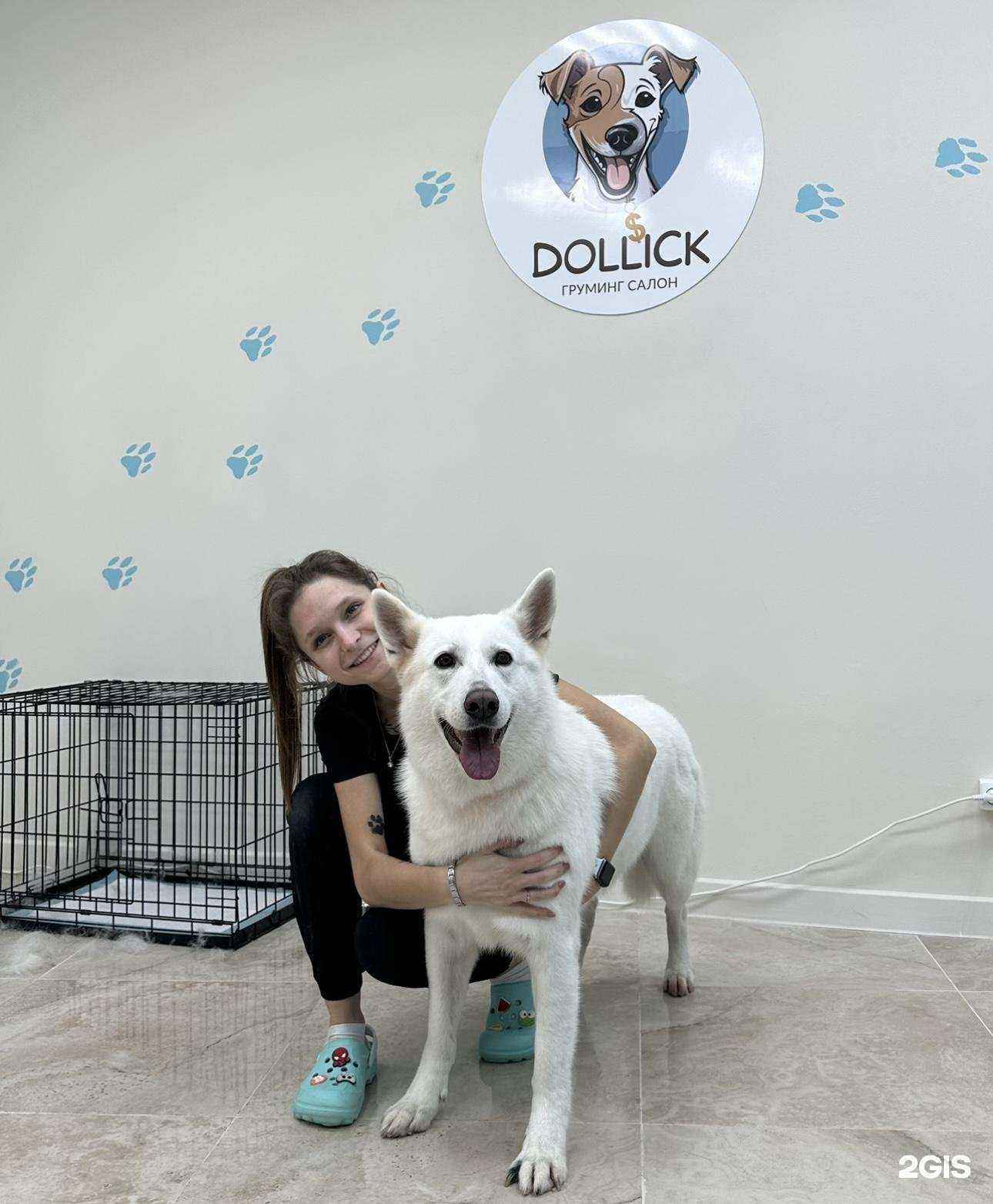 Отзывы на компанию Dollick в Сочи c фото