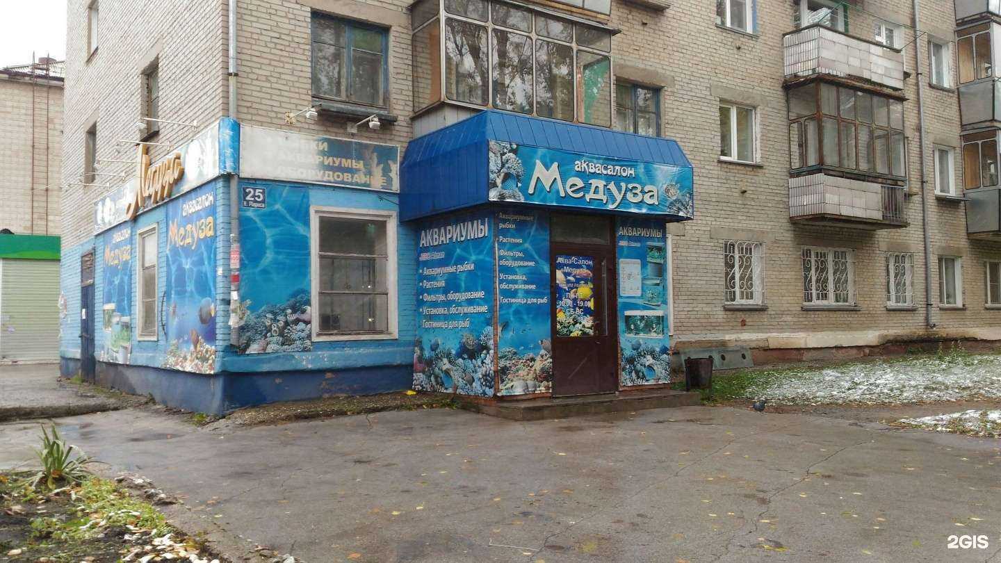 Отзывы на компанию Медуза в Бердске c фото