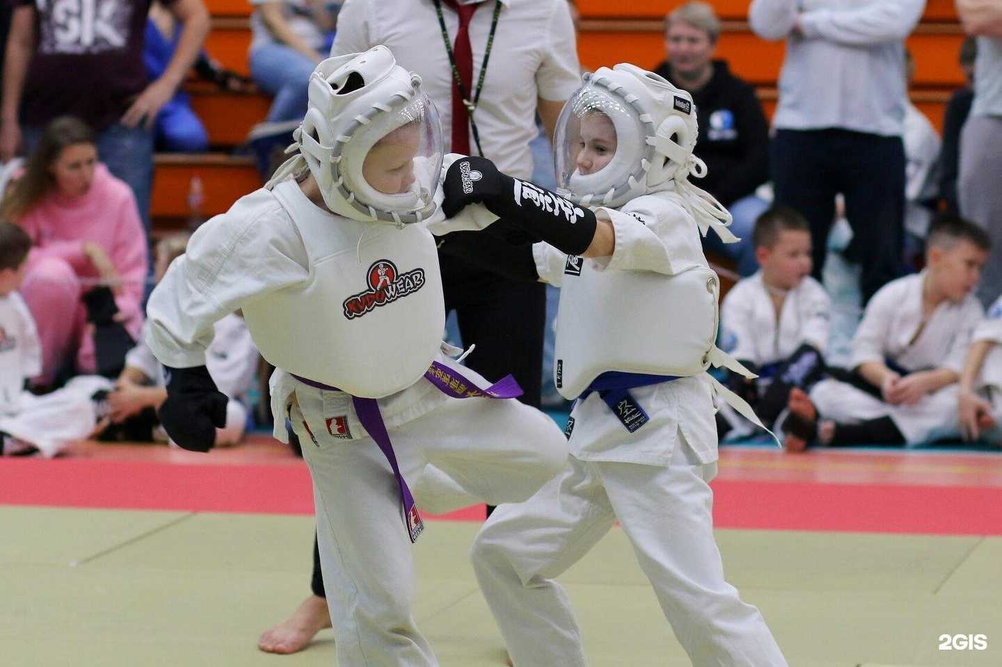 Отзывы на компанию Кудо боец в г. Киров c фото