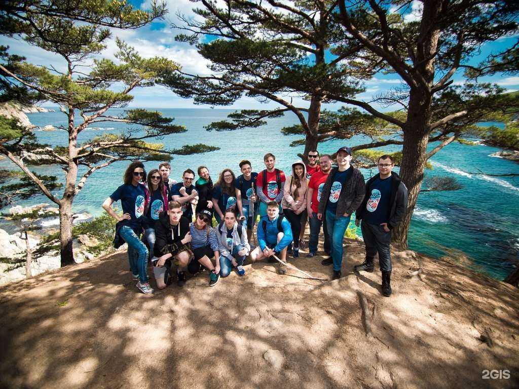 Отзывы на компанию Dviga в Владивостоке c фото