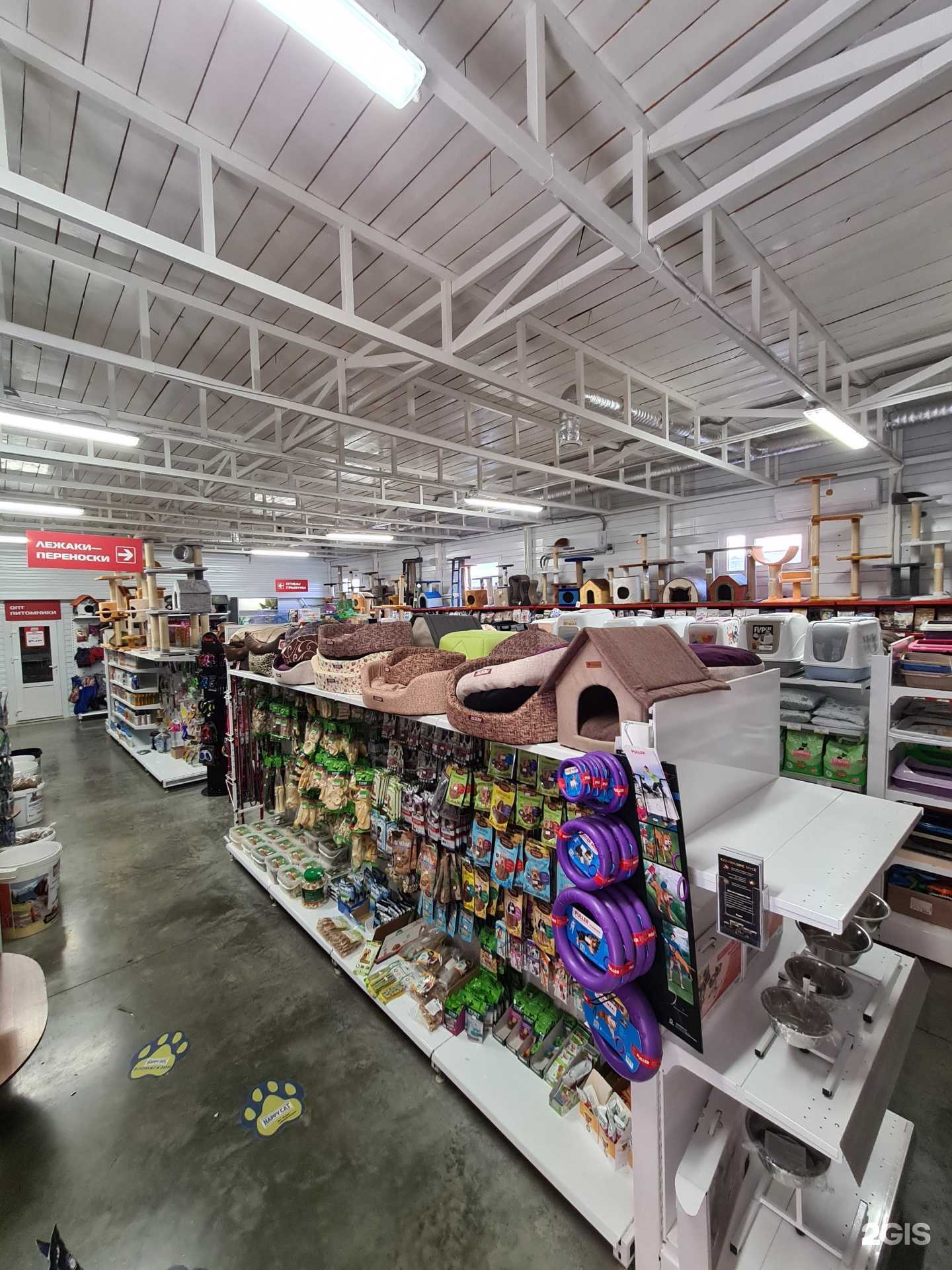 Отзывы на компанию Zoo центр в г. Астрахань c фото