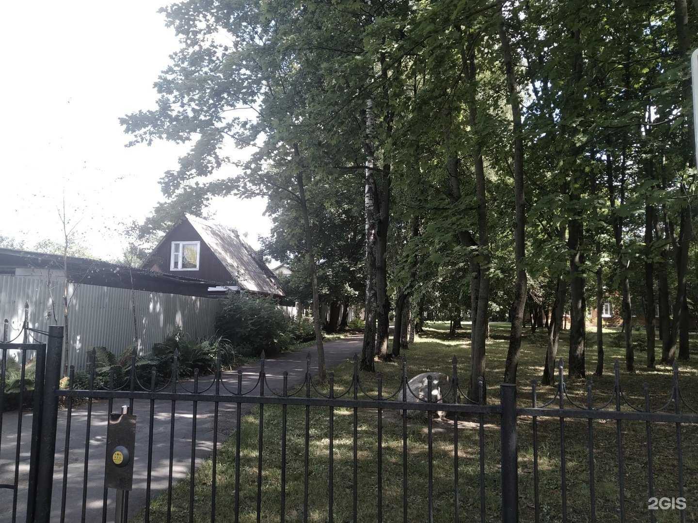 Отзывы на компанию Пушкинская детская художественная школа в г. Пушкино c фото