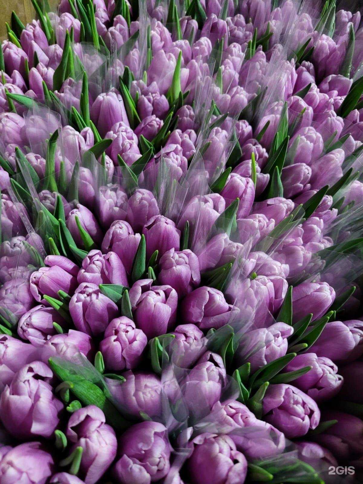 Отзывы на компанию Магазин цветов в Сочи c фото